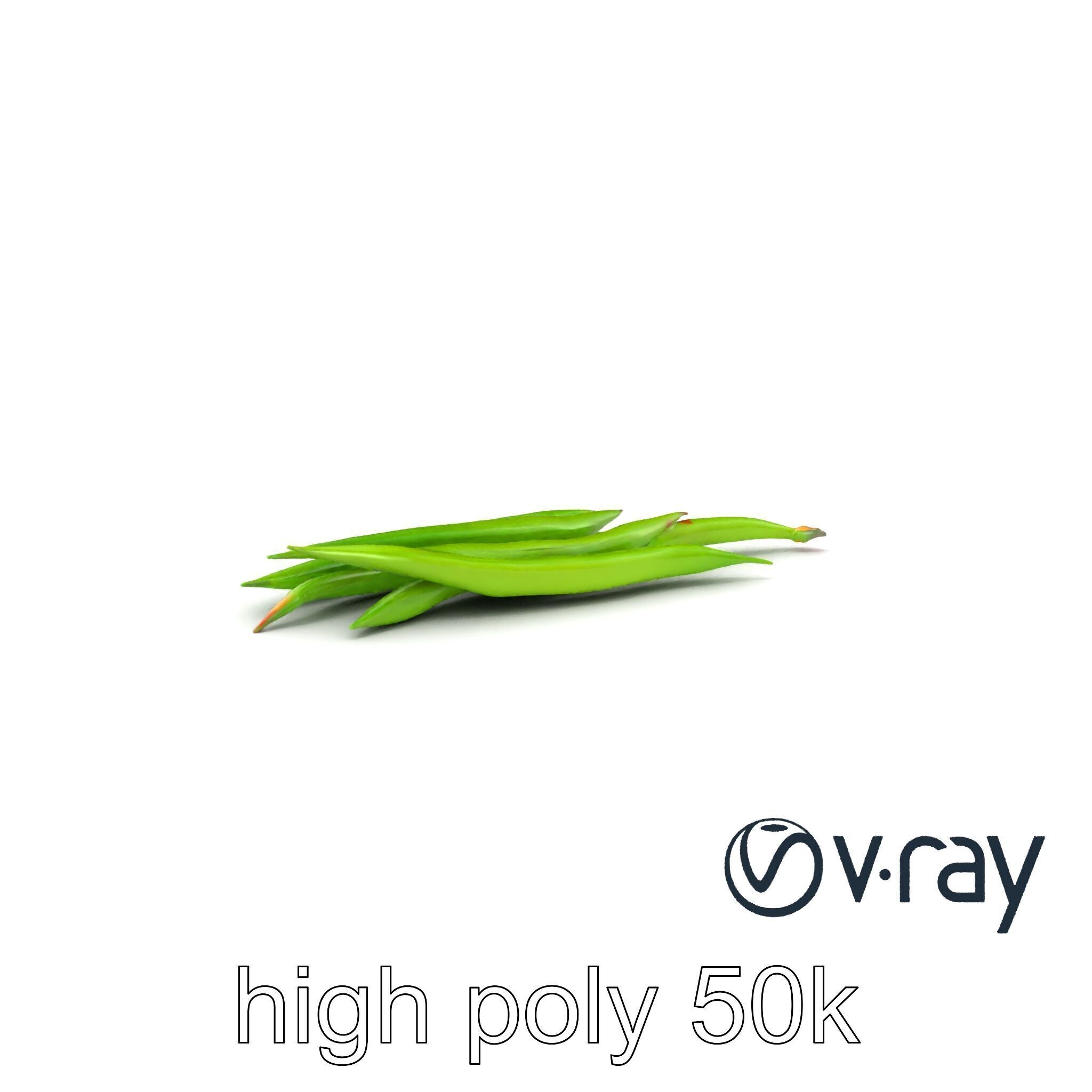 Realistic Green Beans with Smooth Pods model pack Low-poly 3D model_6