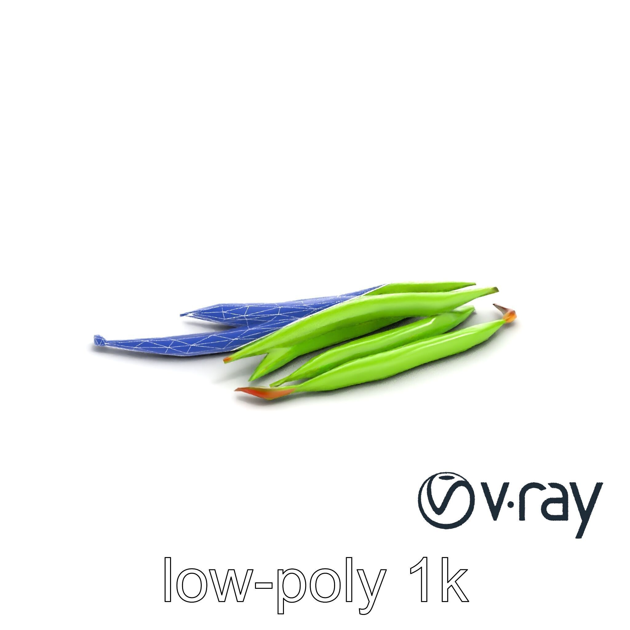 Realistic Green Beans with Smooth Pods model pack Low-poly 3D model_17