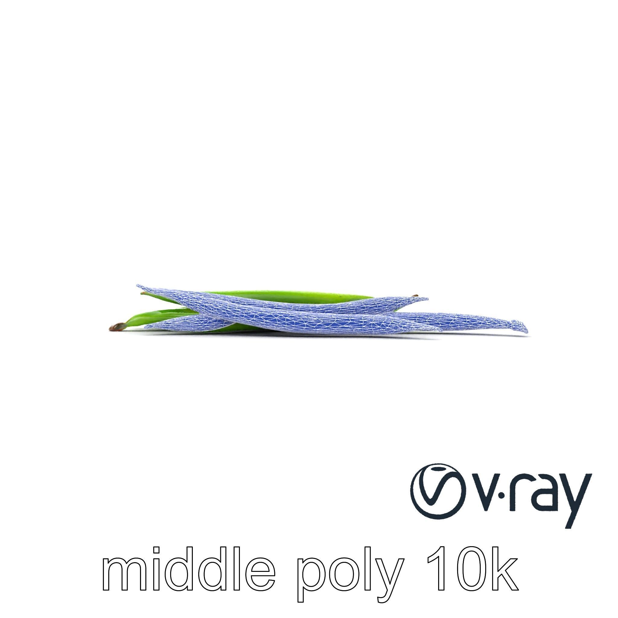 Realistic Green Beans with Smooth Pods model pack Low-poly 3D model_15