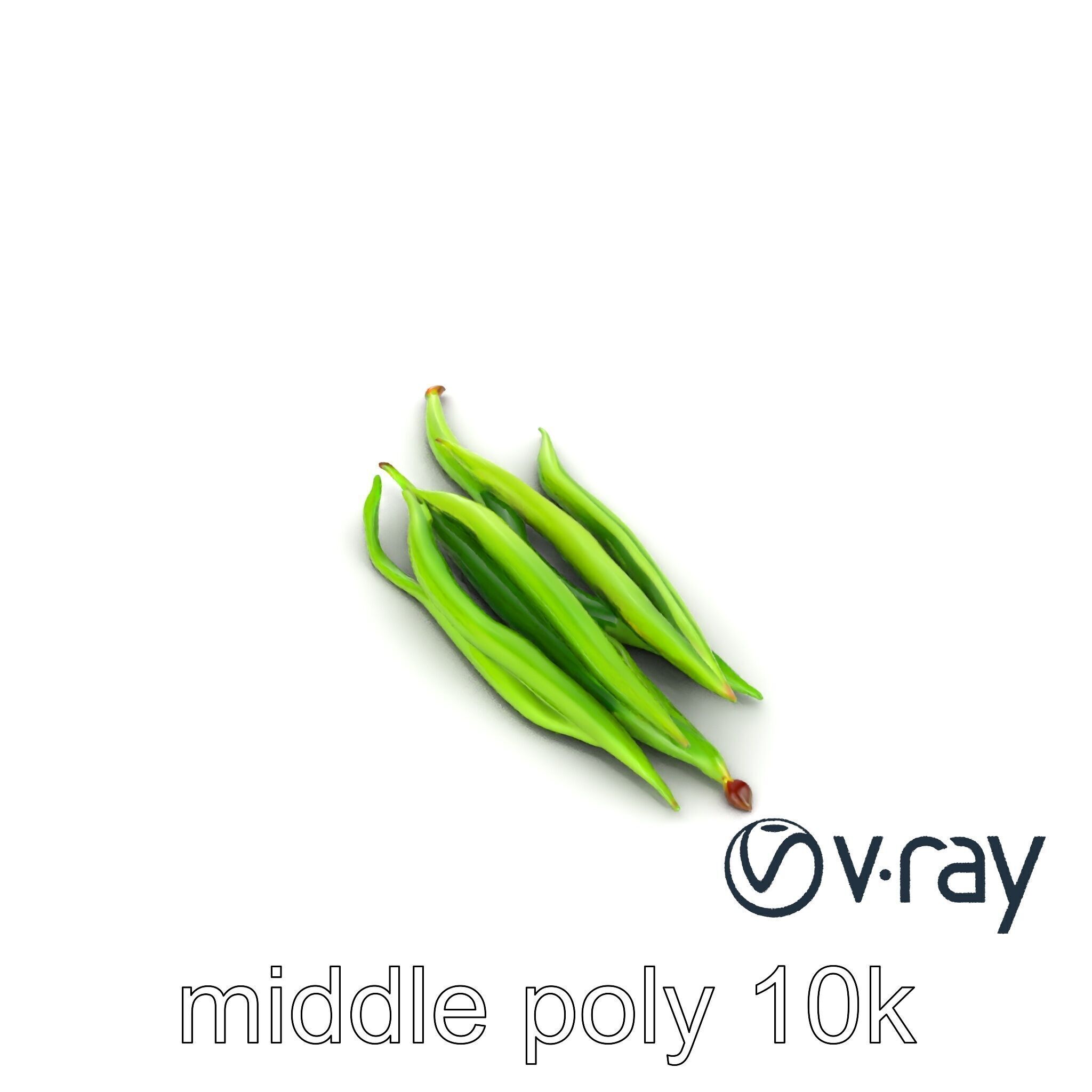 Realistic Green Beans with Smooth Pods model pack Low-poly 3D model_22