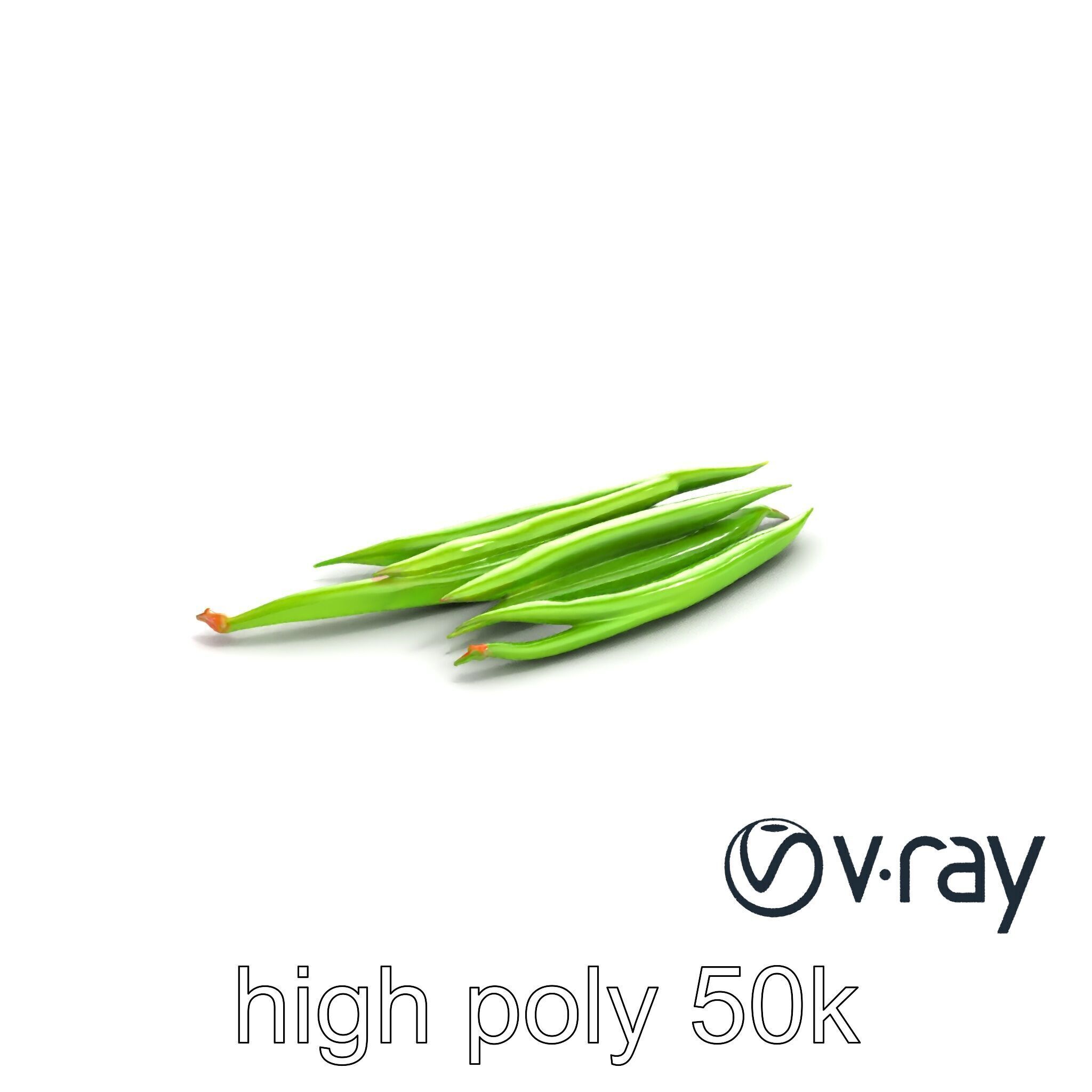Realistic Green Beans with Smooth Pods model pack Low-poly 3D model_9
