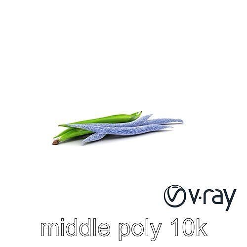 Realistic Green Beans with Smooth Pods model pack Low-poly 3D model 5