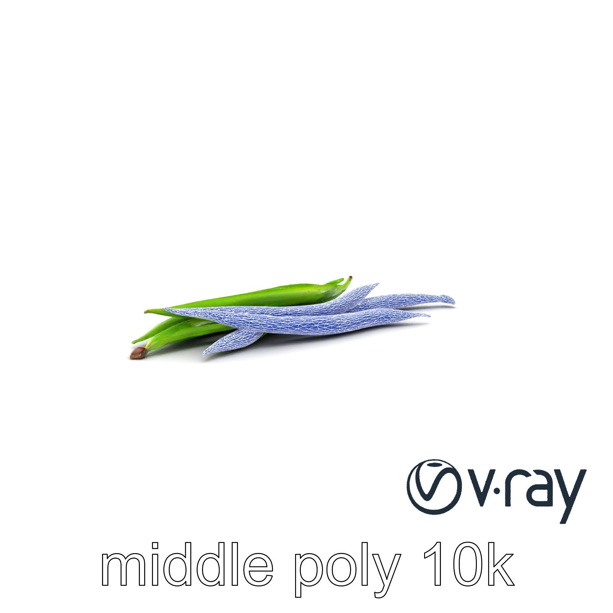 Realistic Green Beans with Smooth Pods model pack Low-poly 3D model_4