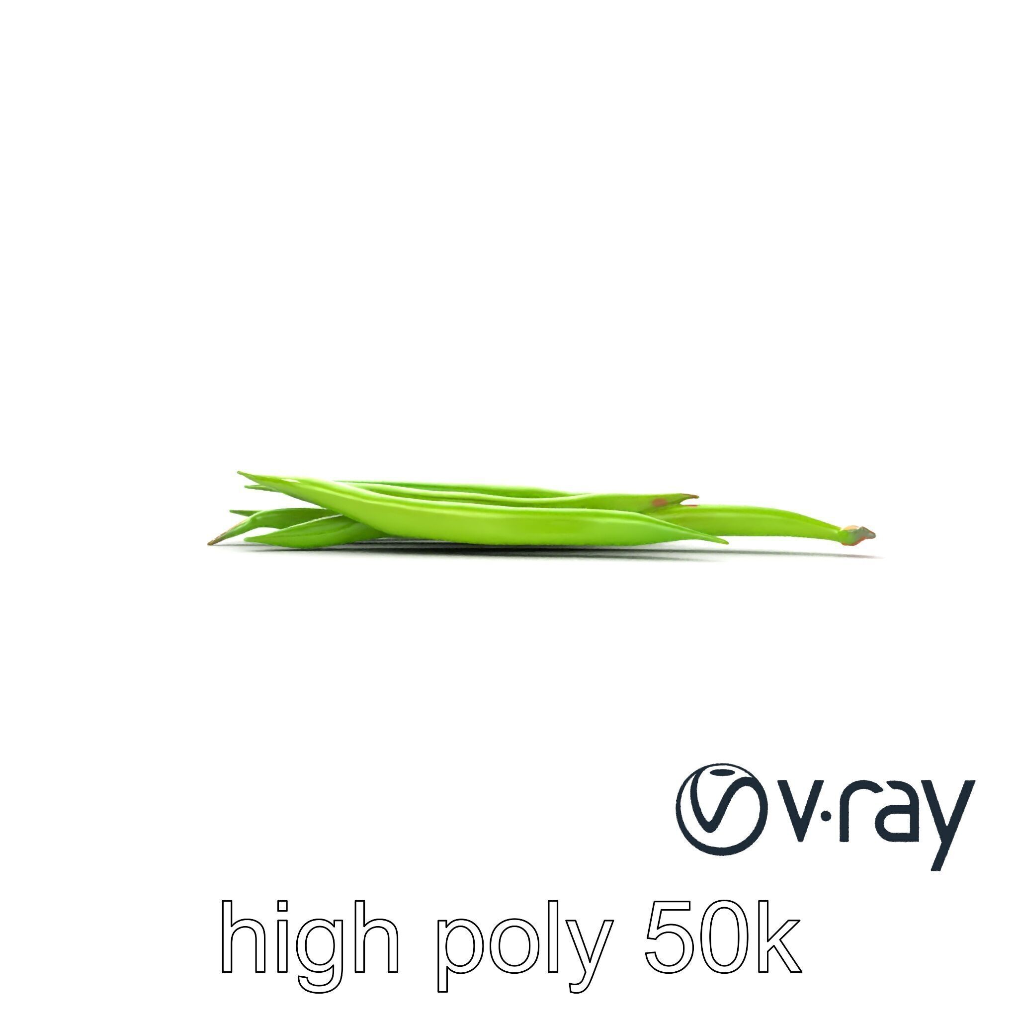 Realistic Green Beans with Smooth Pods model pack Low-poly 3D model_26