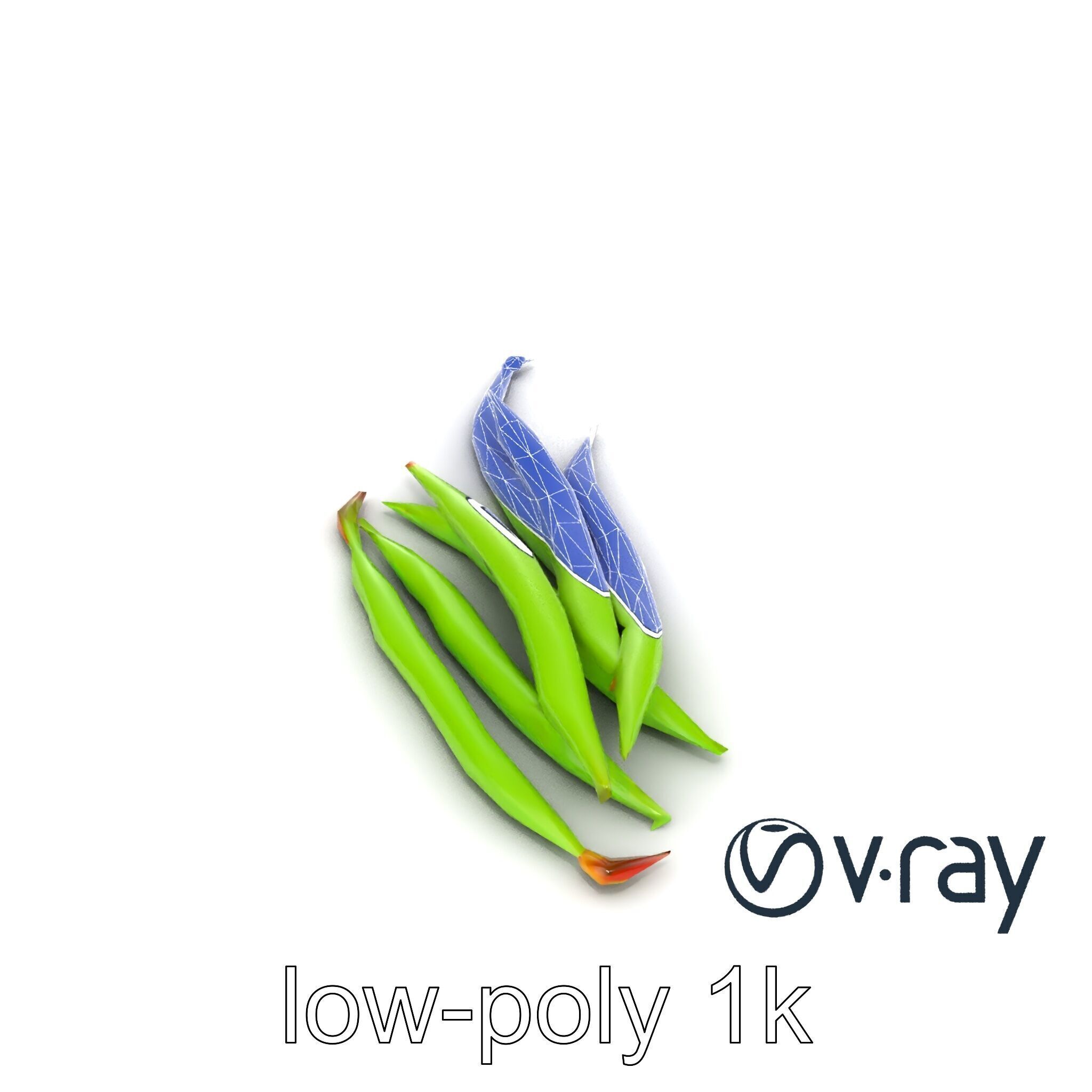 Realistic Green Beans with Smooth Pods model pack Low-poly 3D model_27