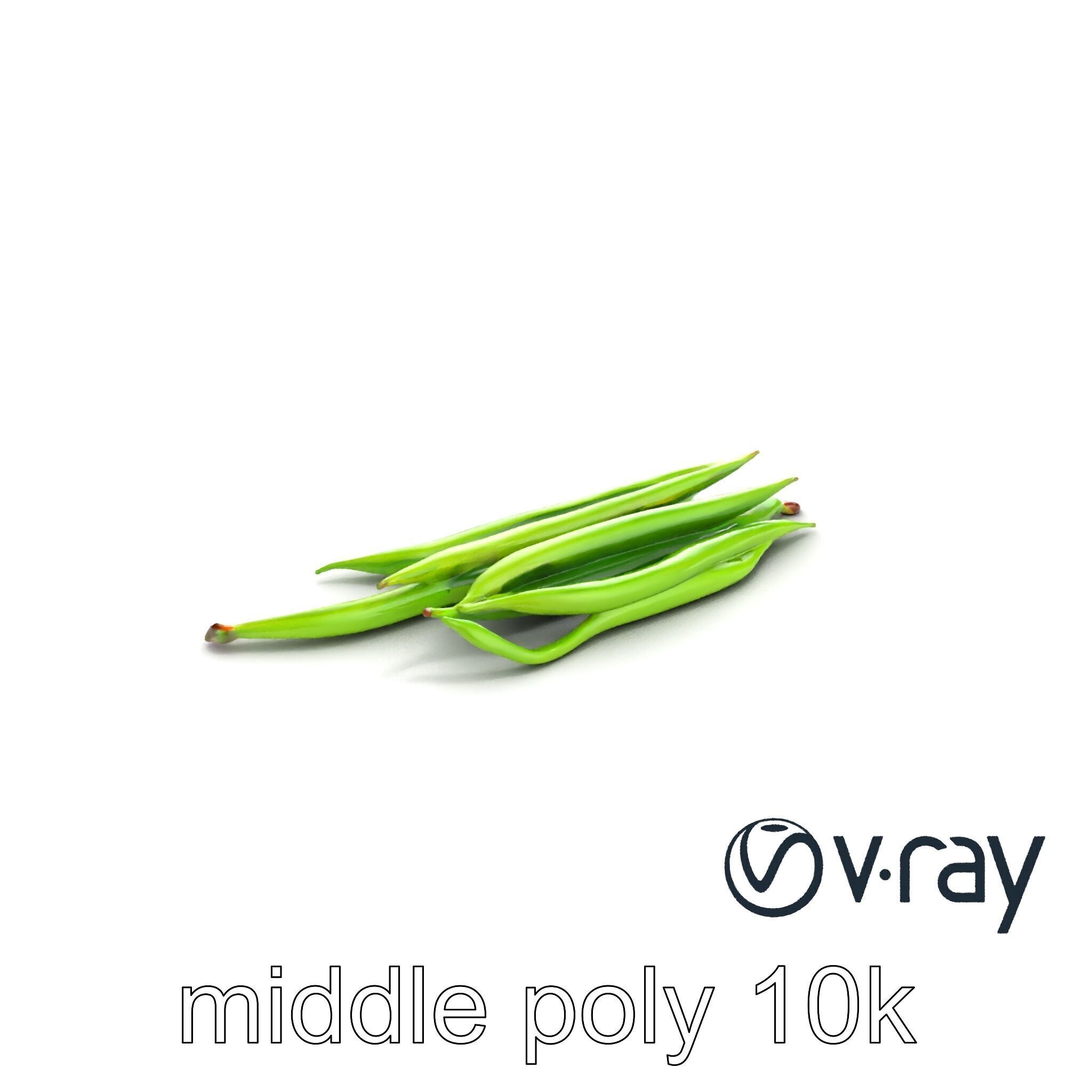 Realistic Green Beans with Smooth Pods model pack Low-poly 3D model_7