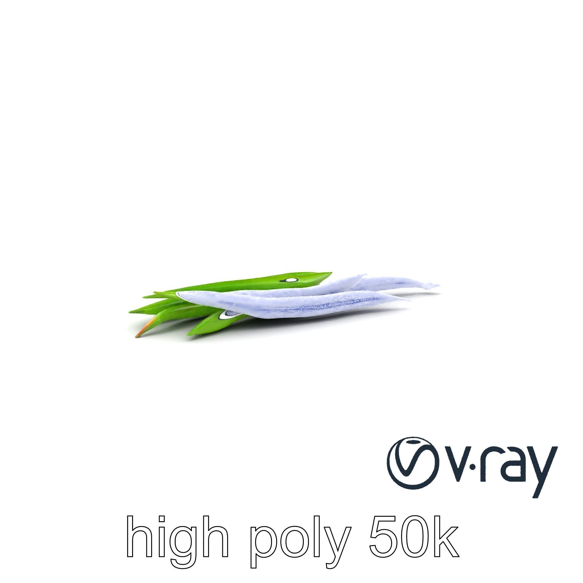 Realistic Green Beans with Smooth Pods model pack Low-poly 3D model_28