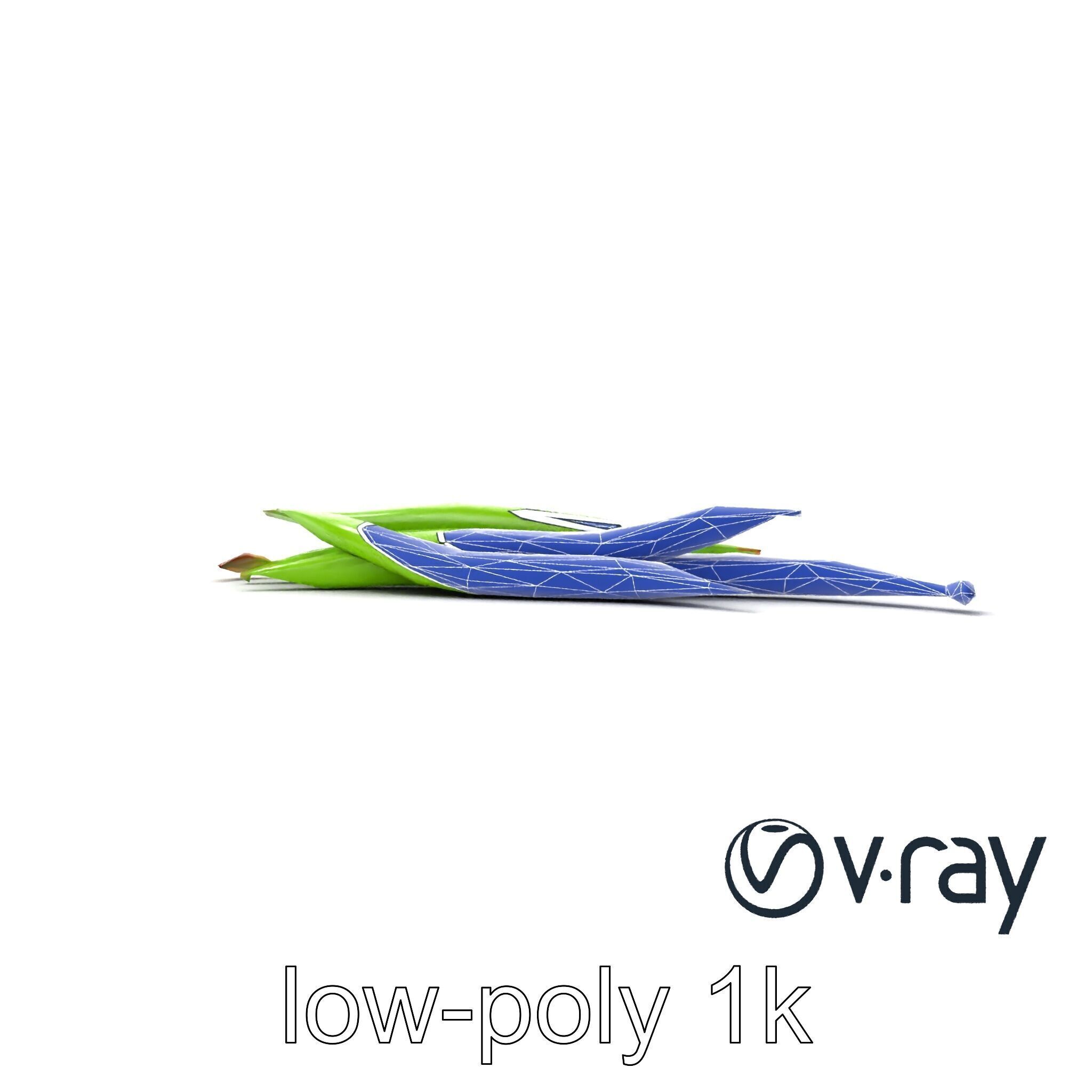 Realistic Green Beans with Smooth Pods model pack Low-poly 3D model_11