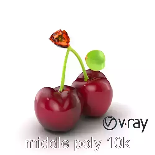 Cherry with Glossy Red Berries and Dew Drop Effect model pack
