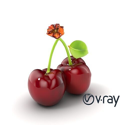 Cherry with Glossy Red Berries and Dew Drop Effect model pack Low-poly 3D model 7