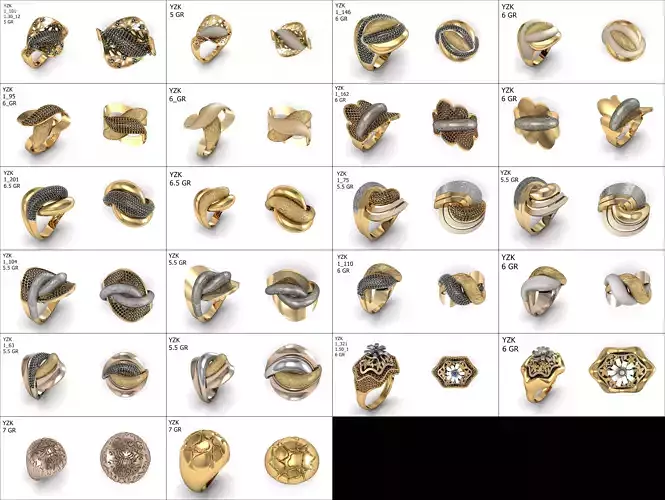 20 Ring 3D print model