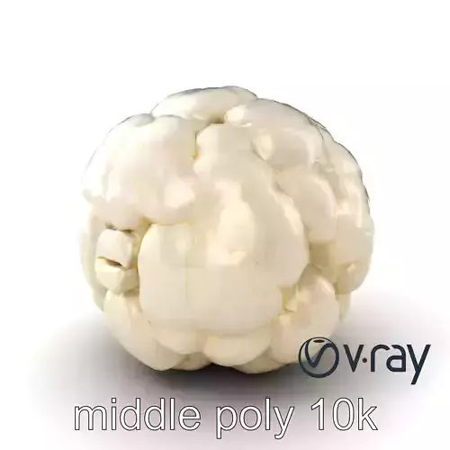 Natural Cauliflower Realistic 3D Model Pack