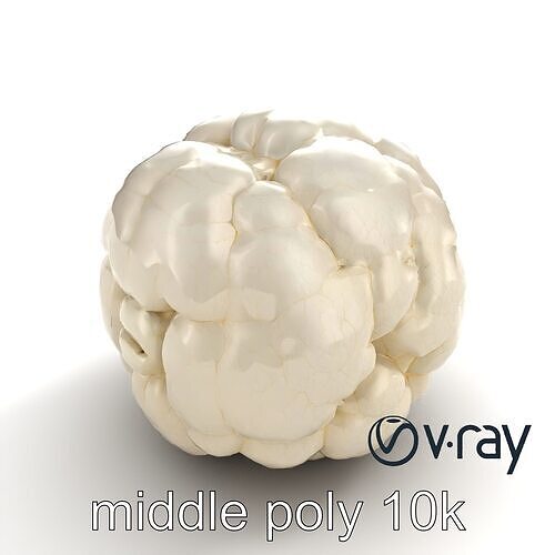 Natural Cauliflower Realistic 3D Model Pack Low-poly 3D model 5