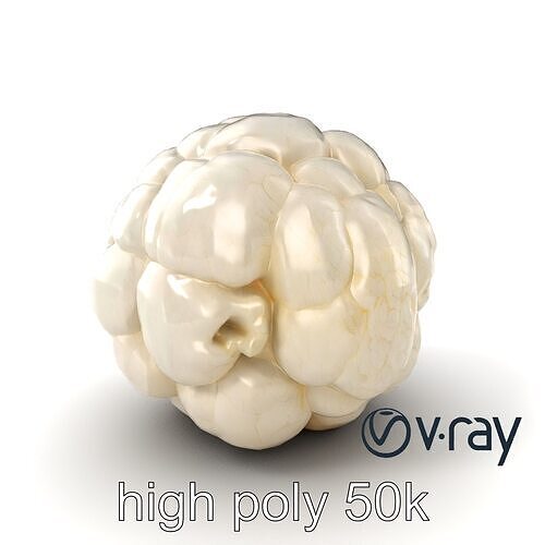 Natural Cauliflower Realistic 3D Model Pack Low-poly 3D model 7