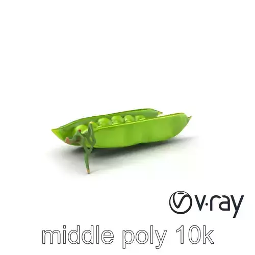 Fresh Green Pea Pod with Textured Skin model pack