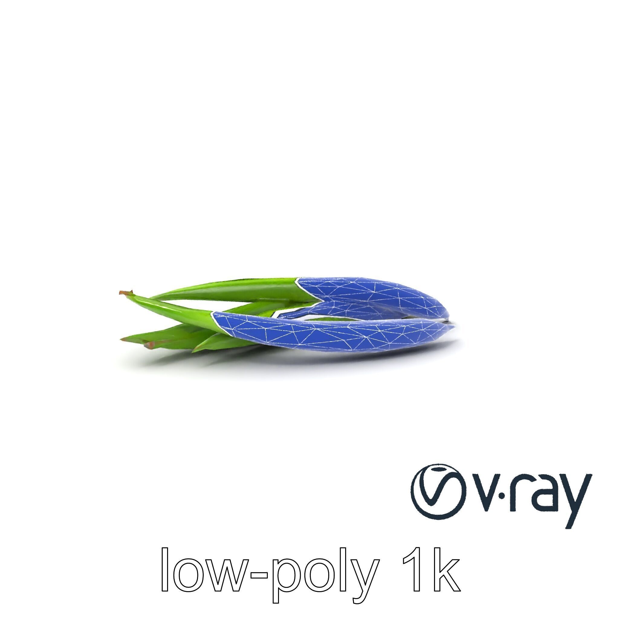 Realistic Green Beans Vegetable 3D model pack Low-poly 3D model_24