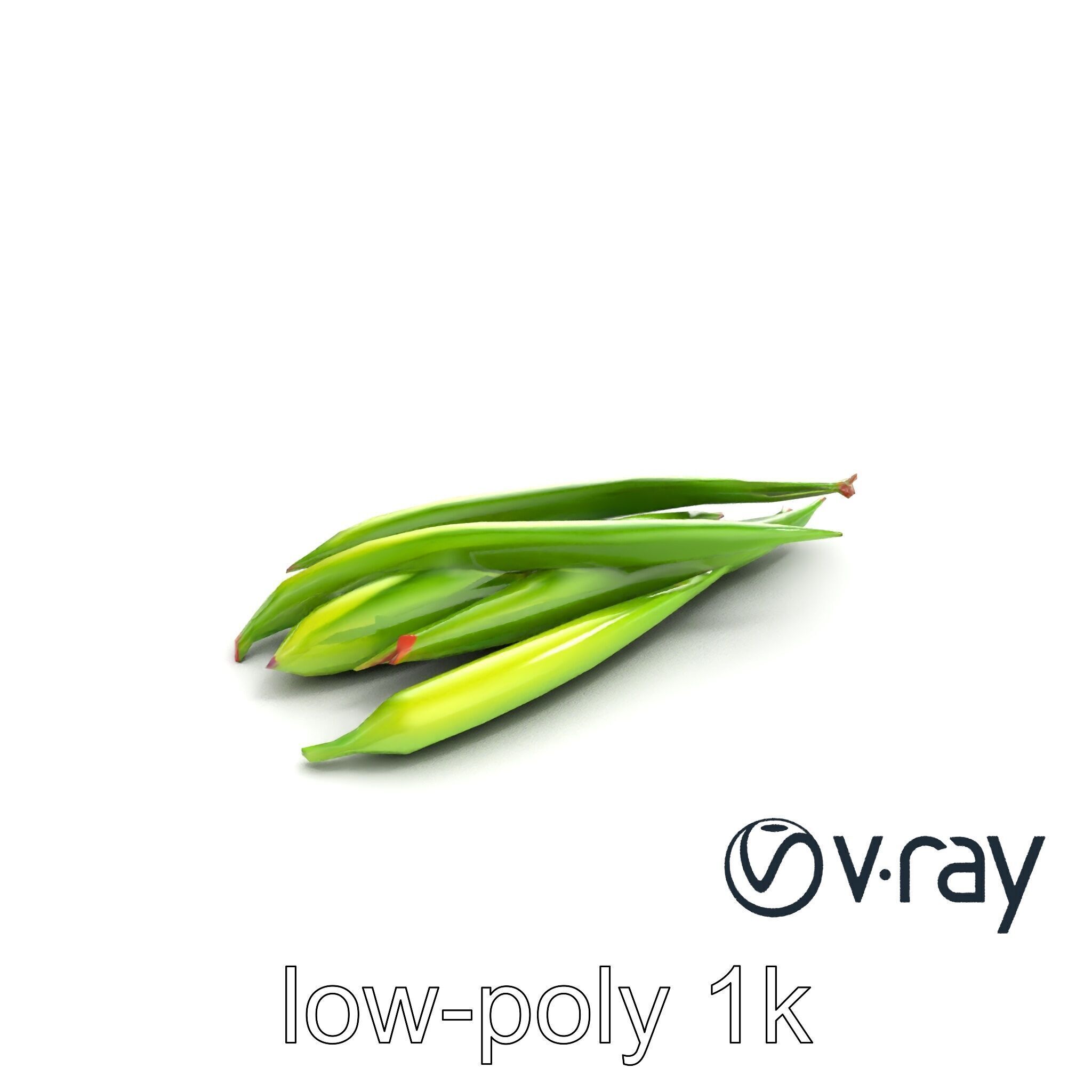 Realistic Green Beans Vegetable 3D model pack Low-poly 3D model_5