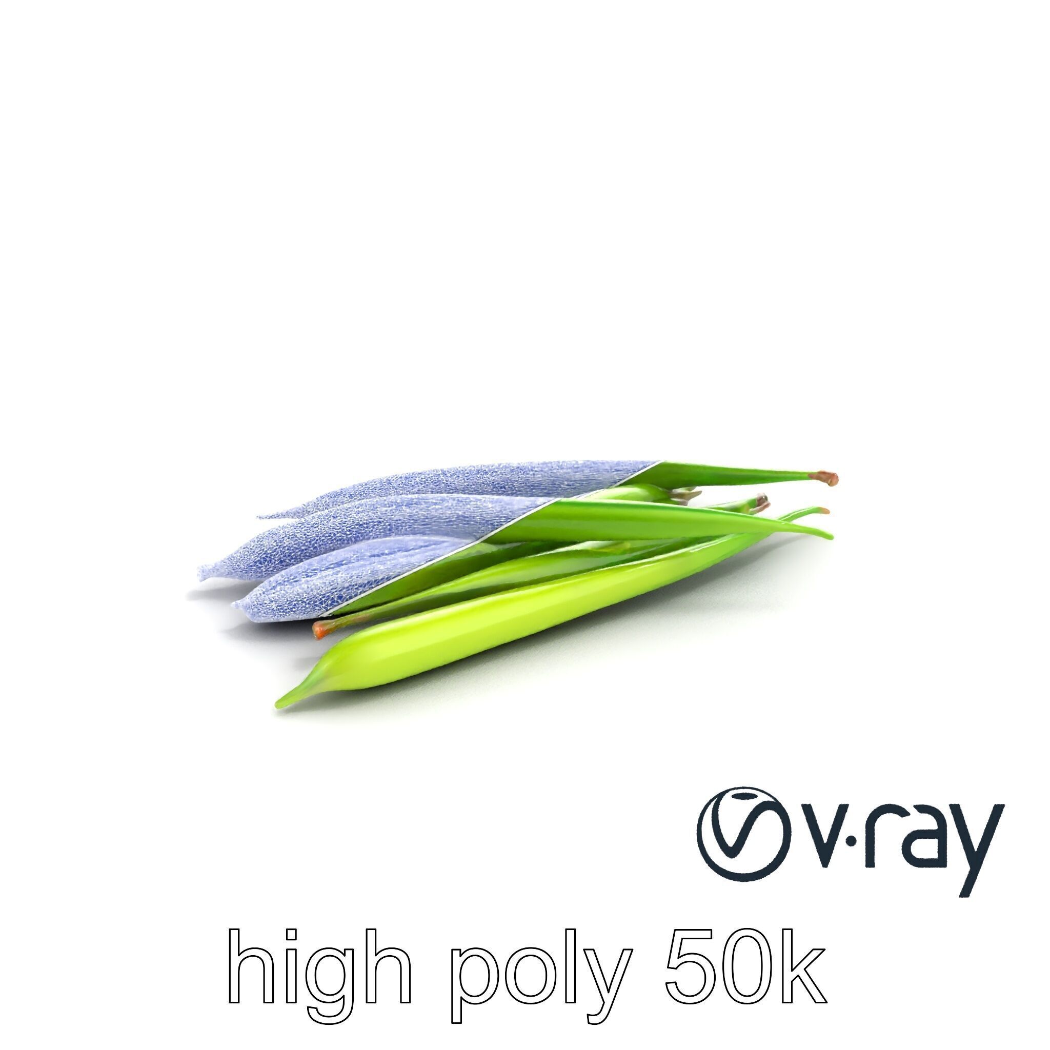 Realistic Green Beans Vegetable 3D model pack Low-poly 3D model_27