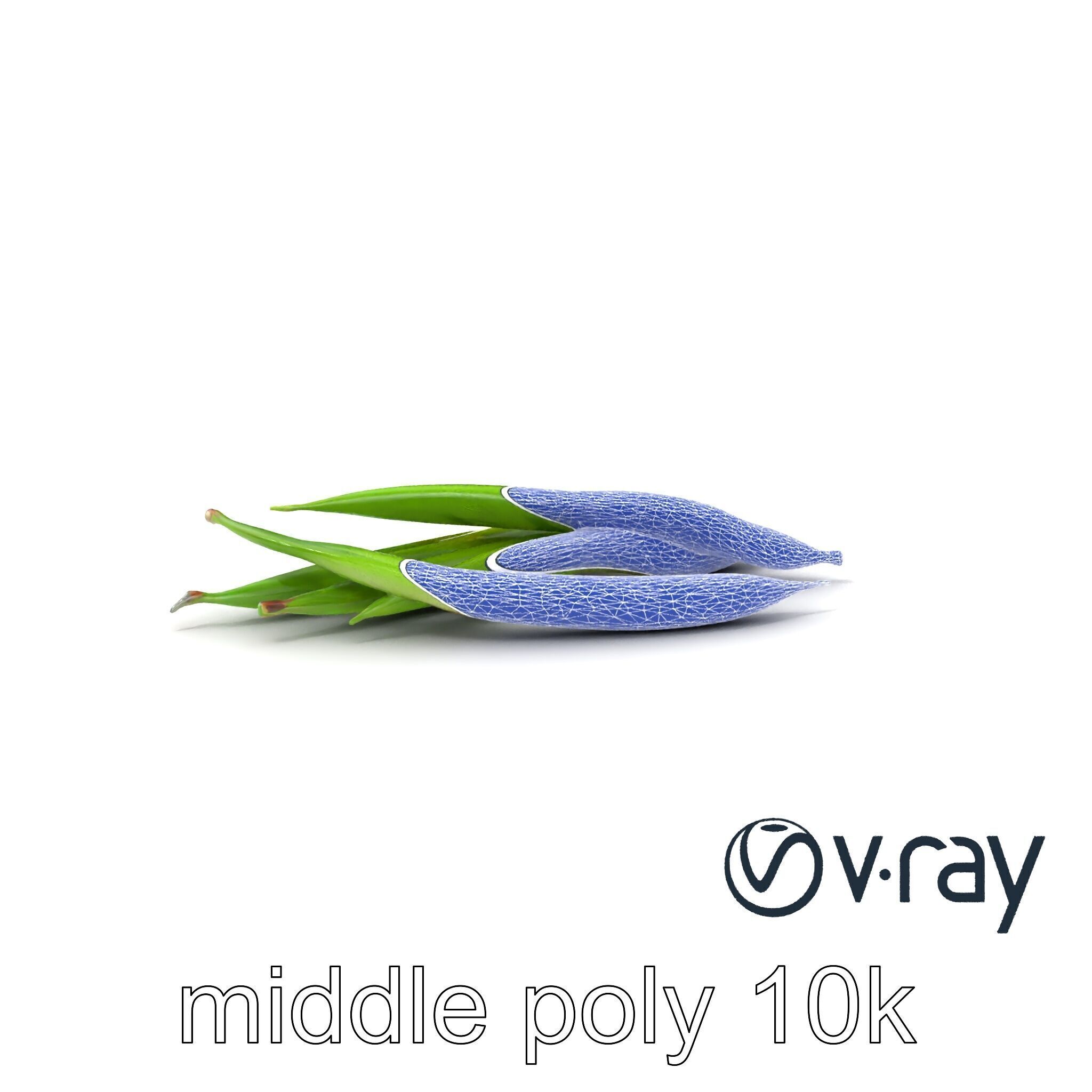 Realistic Green Beans Vegetable 3D model pack Low-poly 3D model_7