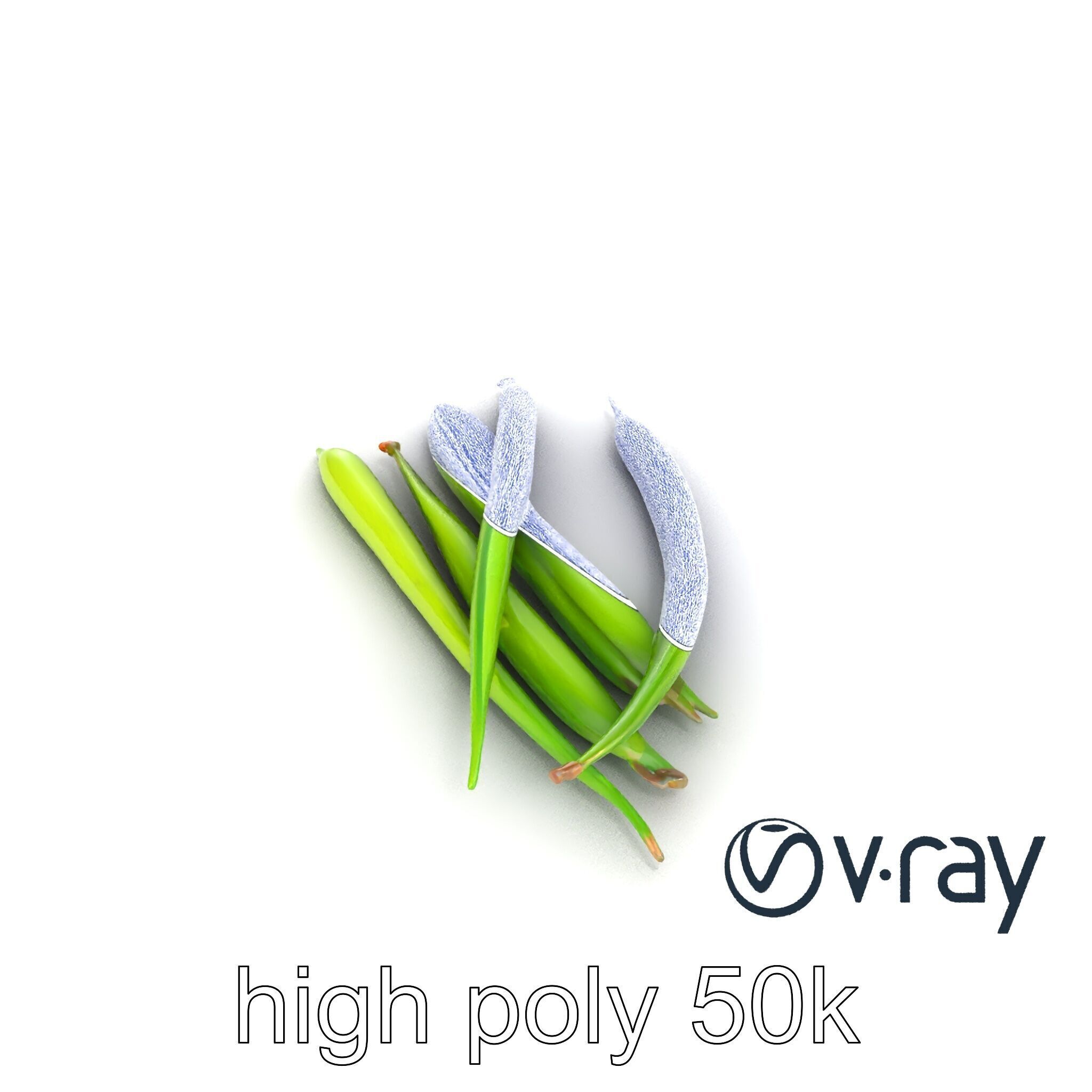 Realistic Green Beans Vegetable 3D model pack Low-poly 3D model_31