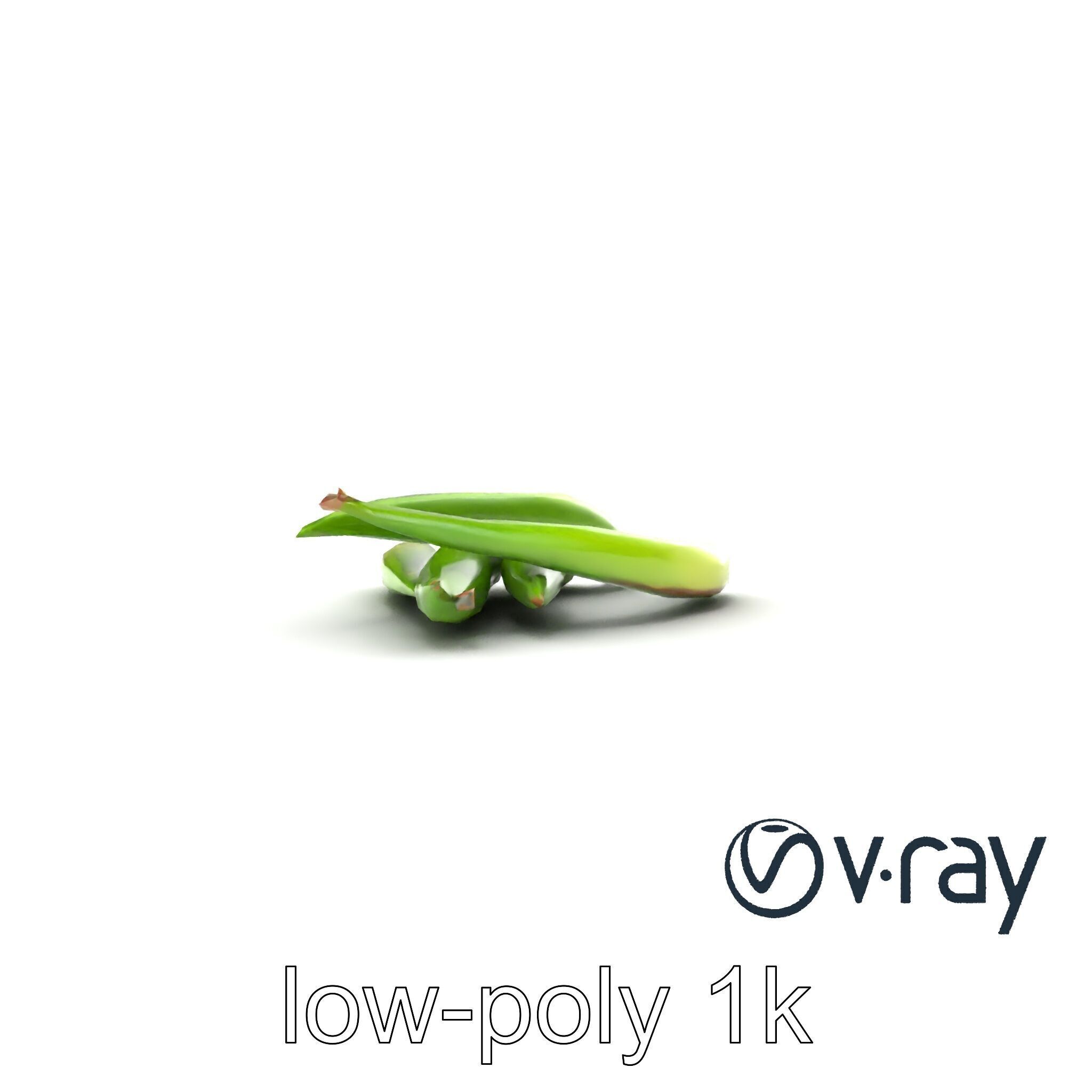 Realistic Green Beans Vegetable 3D model pack Low-poly 3D model_17