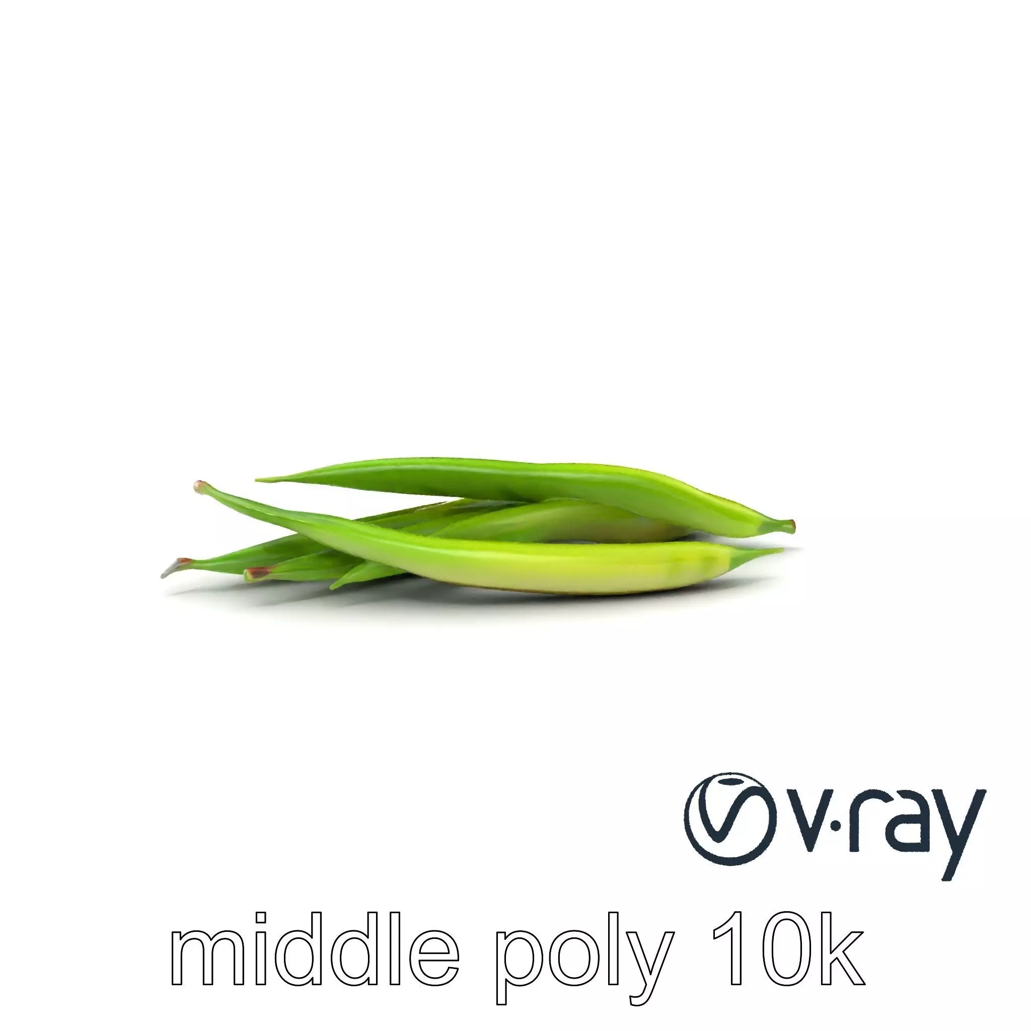 Realistic Green Beans Vegetable 3D model pack Low-poly 3D model_0