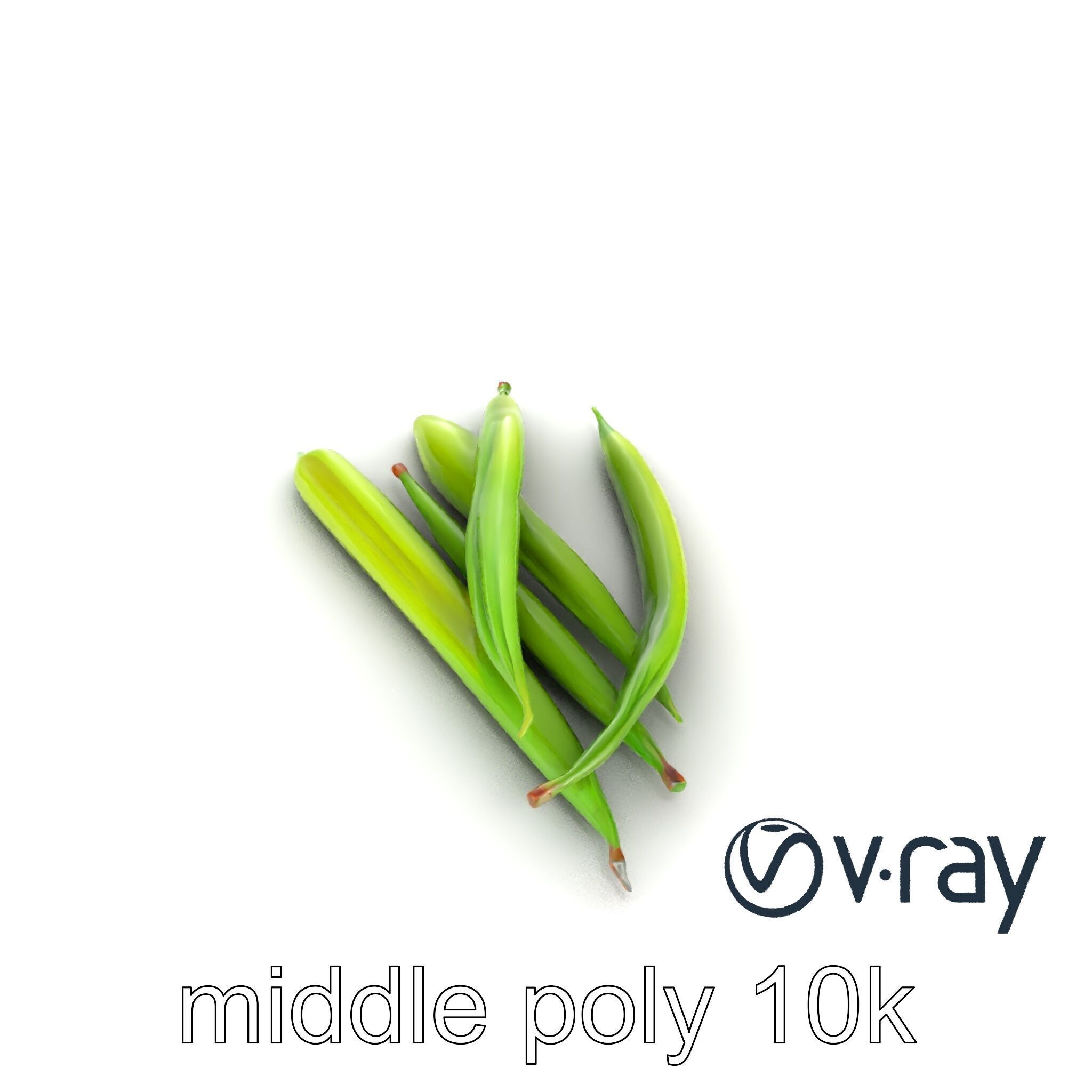 Realistic Green Beans Vegetable 3D model pack Low-poly 3D model_11