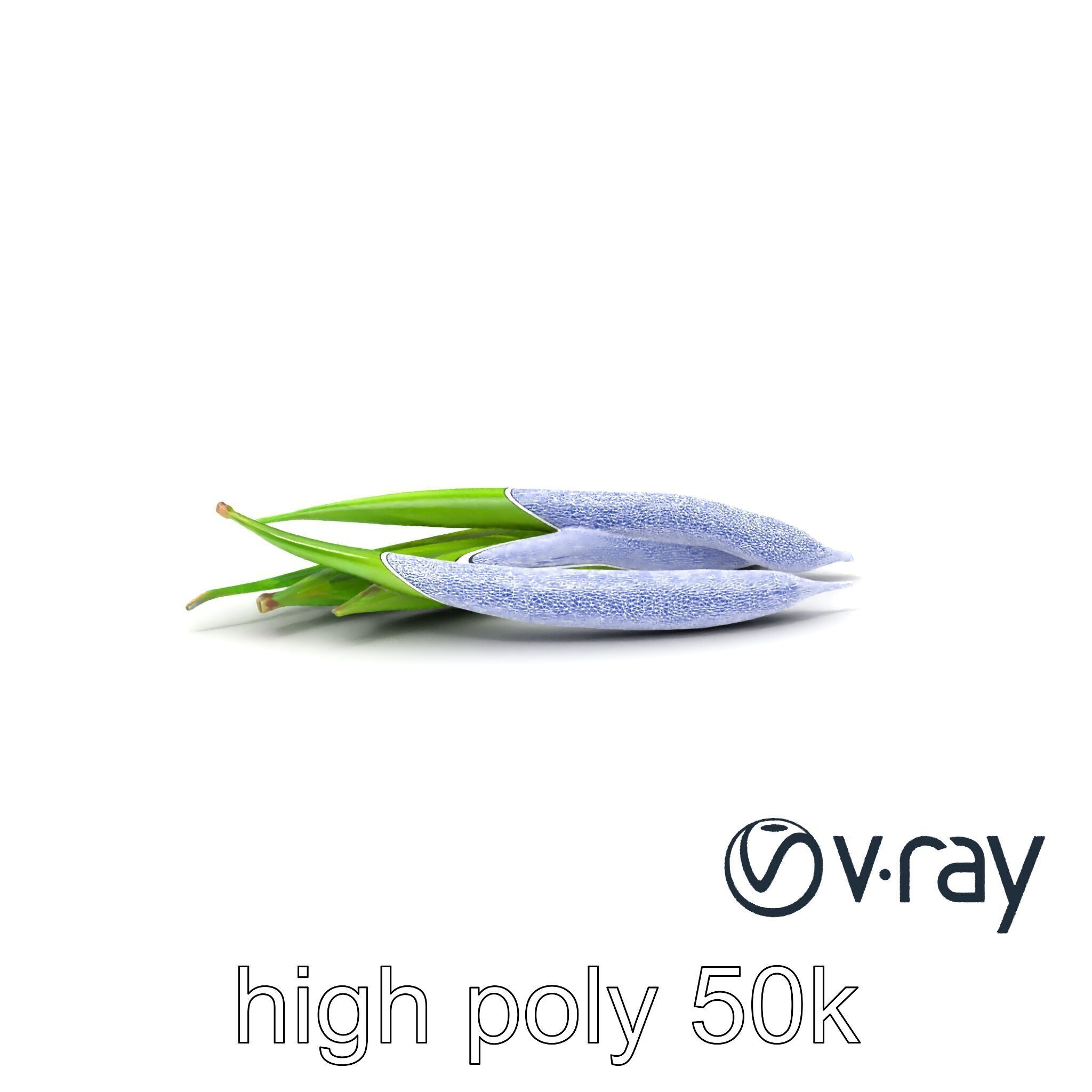 Realistic Green Beans Vegetable 3D model pack Low-poly 3D model_9