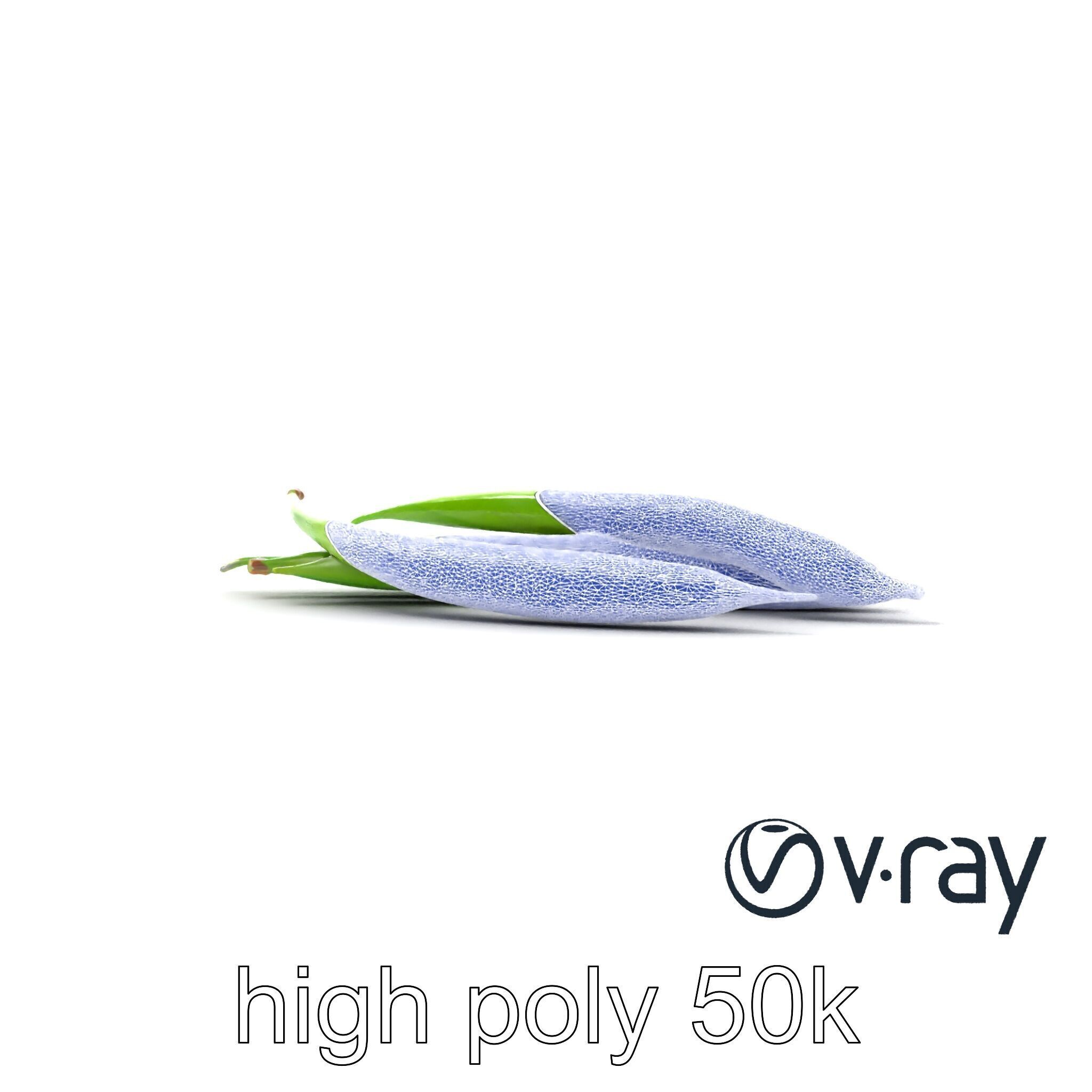 Realistic Green Beans Vegetable 3D model pack Low-poly 3D model_13