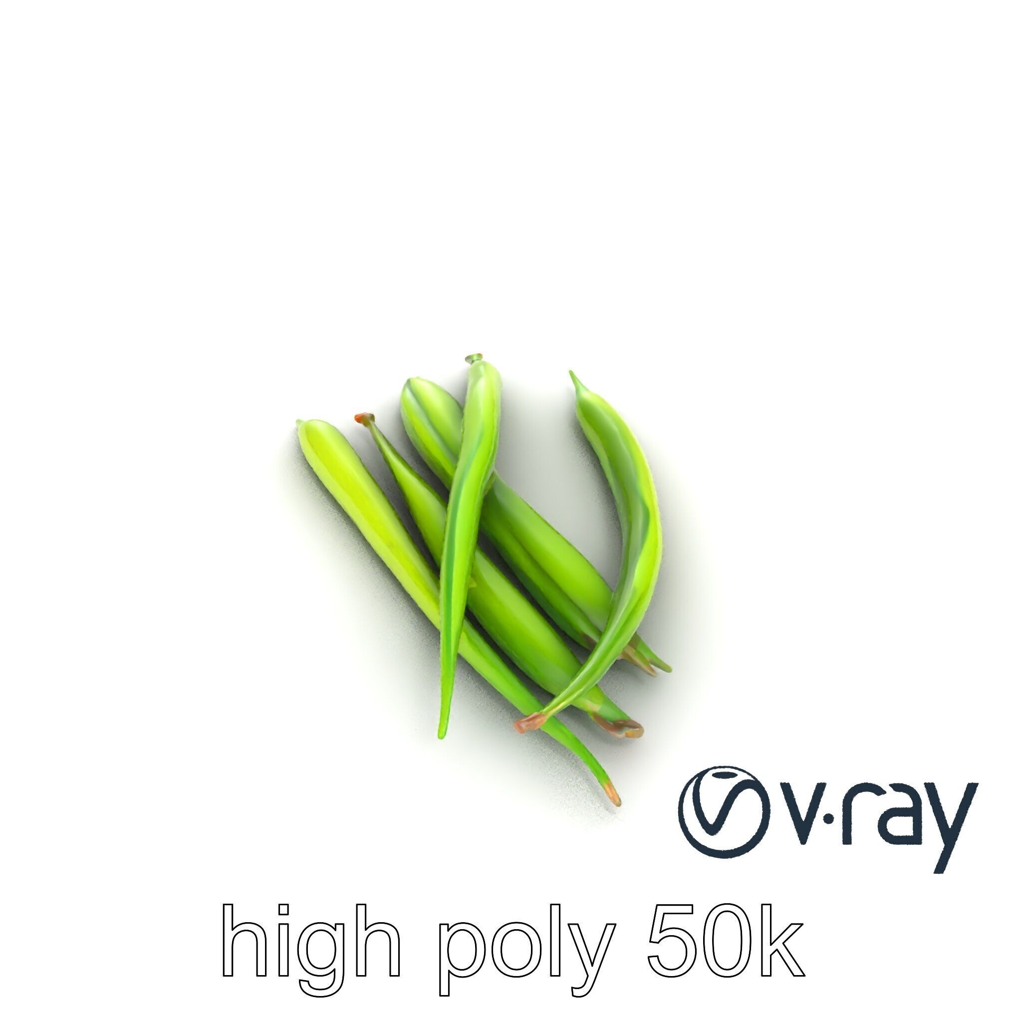 Realistic Green Beans Vegetable 3D model pack Low-poly 3D model_20