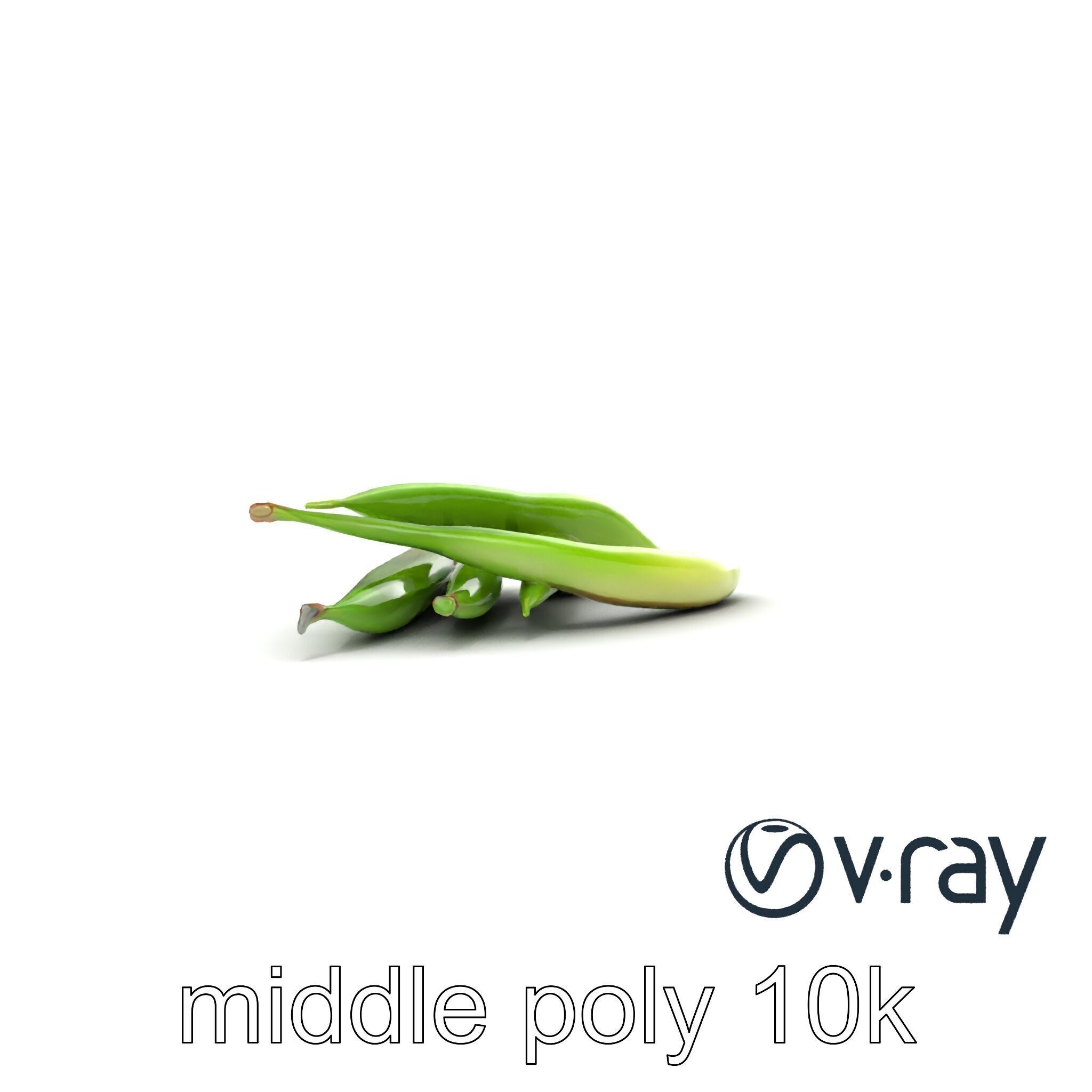 Realistic Green Beans Vegetable 3D model pack Low-poly 3D model_30