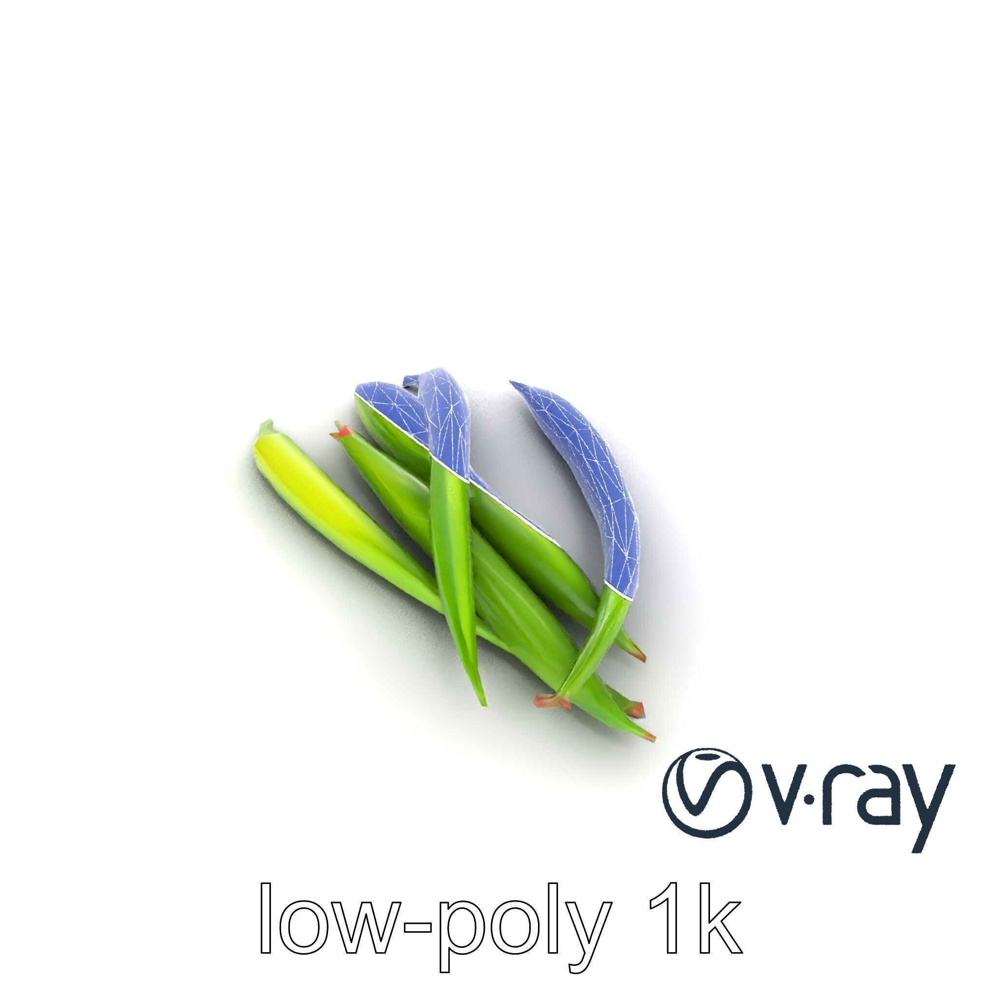 Realistic Green Beans Vegetable 3D model pack Low-poly 3D model_23