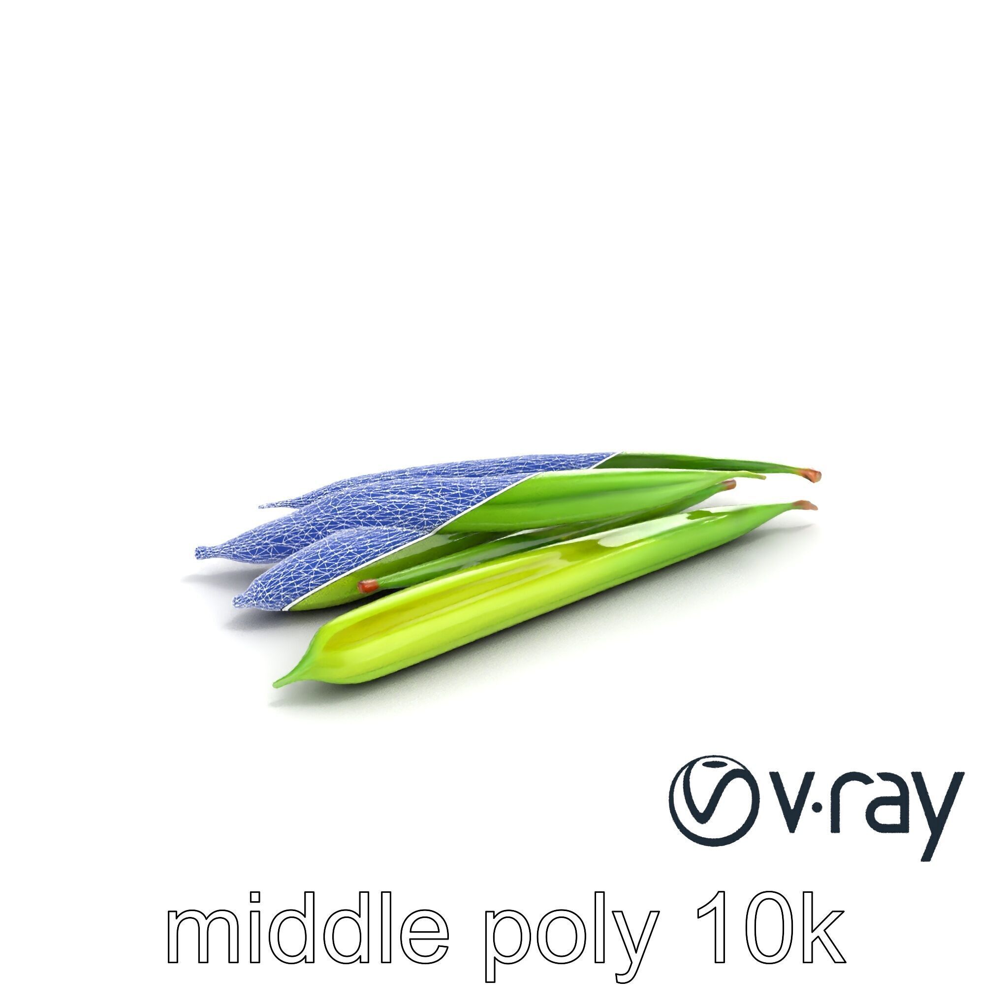 Realistic Green Beans Vegetable 3D model pack Low-poly 3D model_10