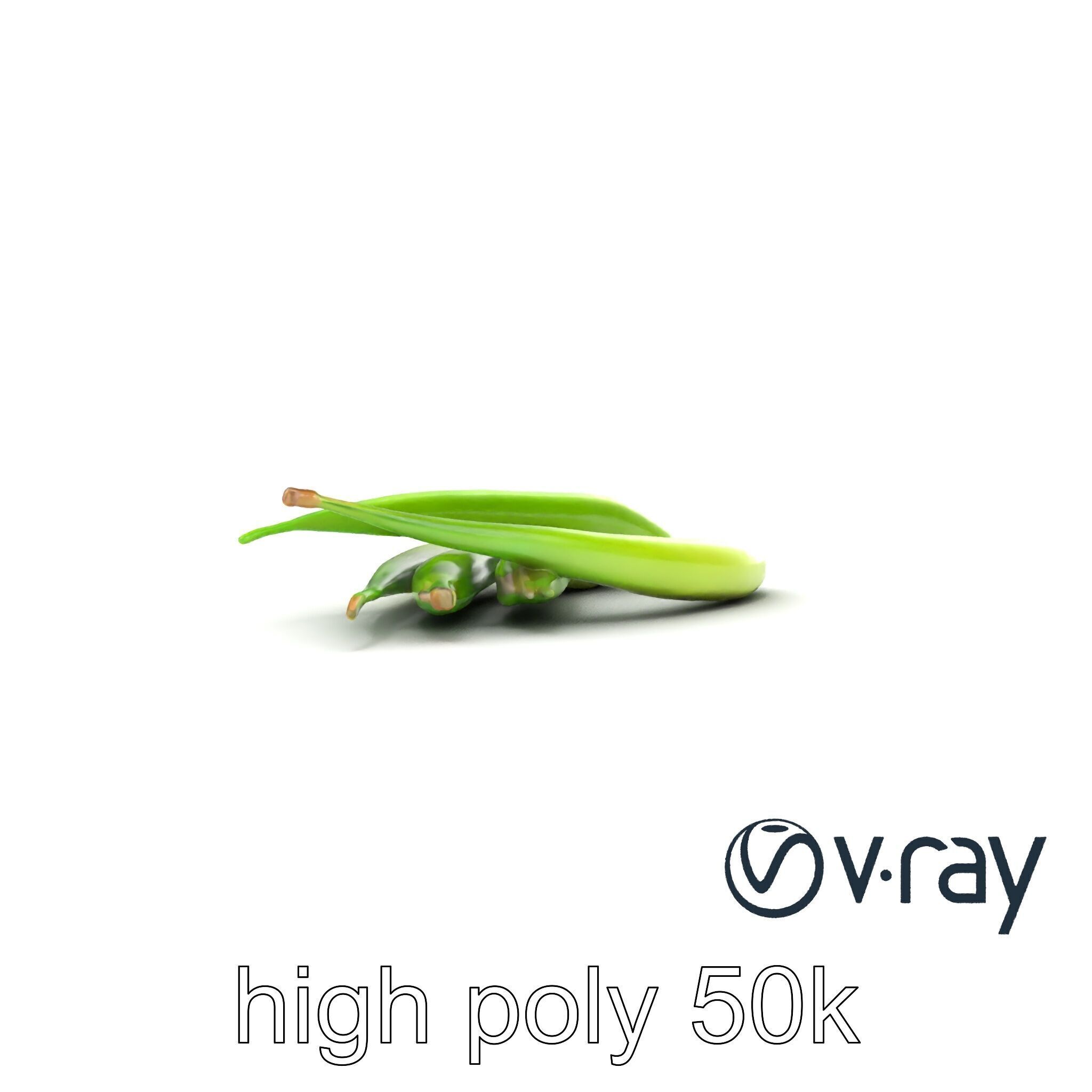 Realistic Green Beans Vegetable 3D model pack Low-poly 3D model_19