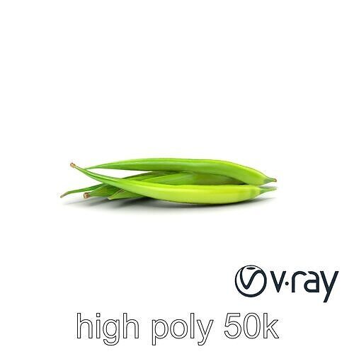 Realistic Green Beans Vegetable 3D model pack Low-poly 3D model 7