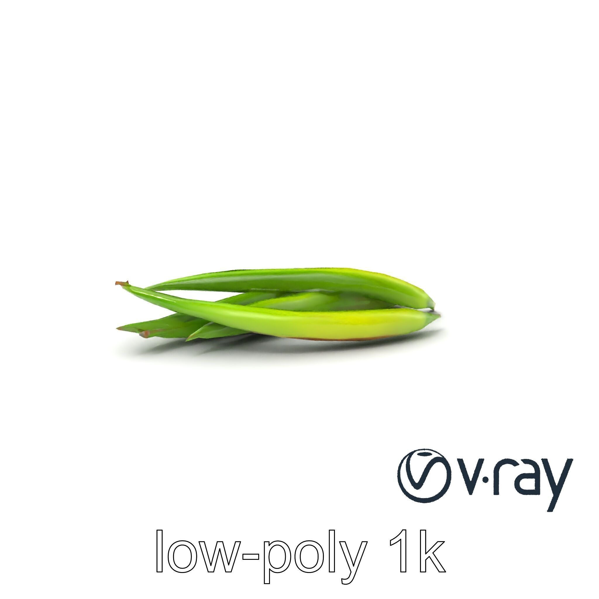 Realistic Green Beans Vegetable 3D model pack Low-poly 3D model_2