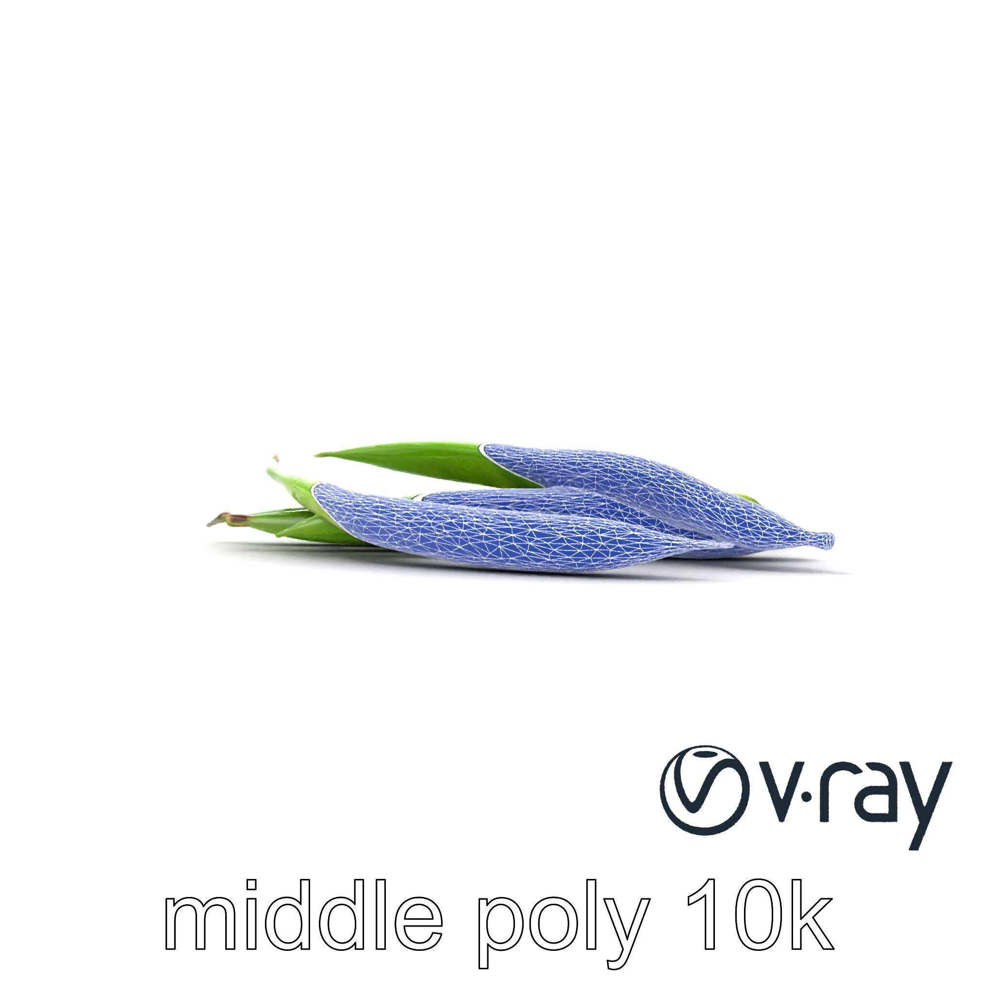 Realistic Green Beans Vegetable 3D model pack Low-poly 3D model_22