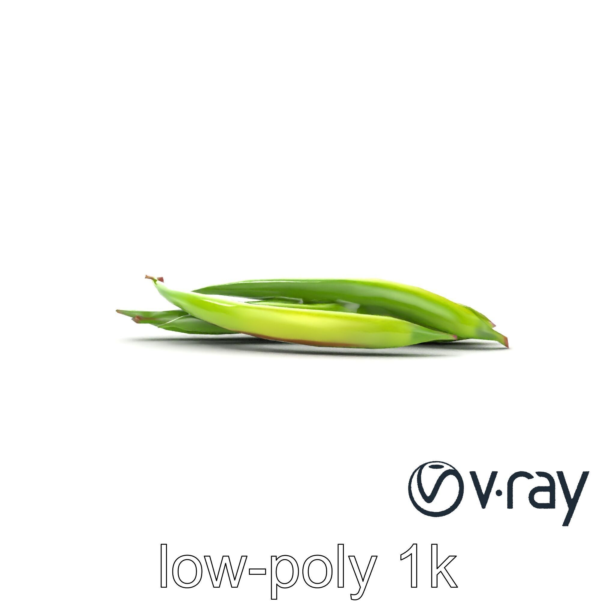 Realistic Green Beans Vegetable 3D model pack Low-poly 3D model_16
