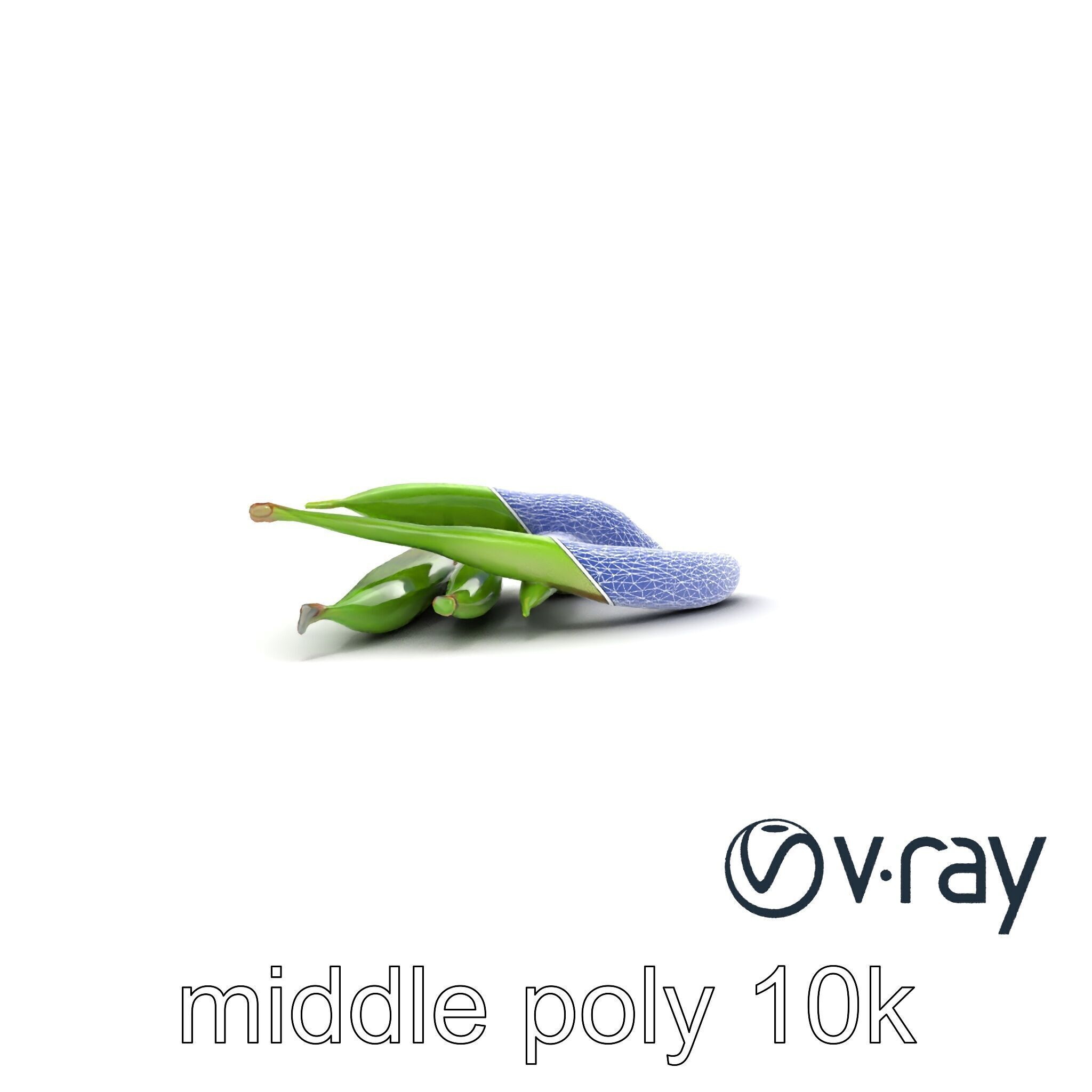 Realistic Green Beans Vegetable 3D model pack Low-poly 3D model_28