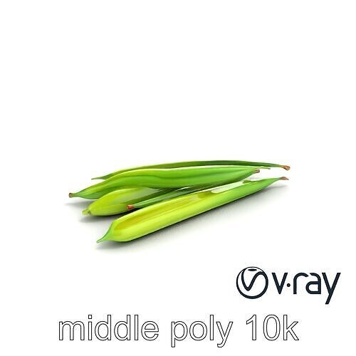 Realistic Green Beans Vegetable 3D model pack Low-poly 3D model 5