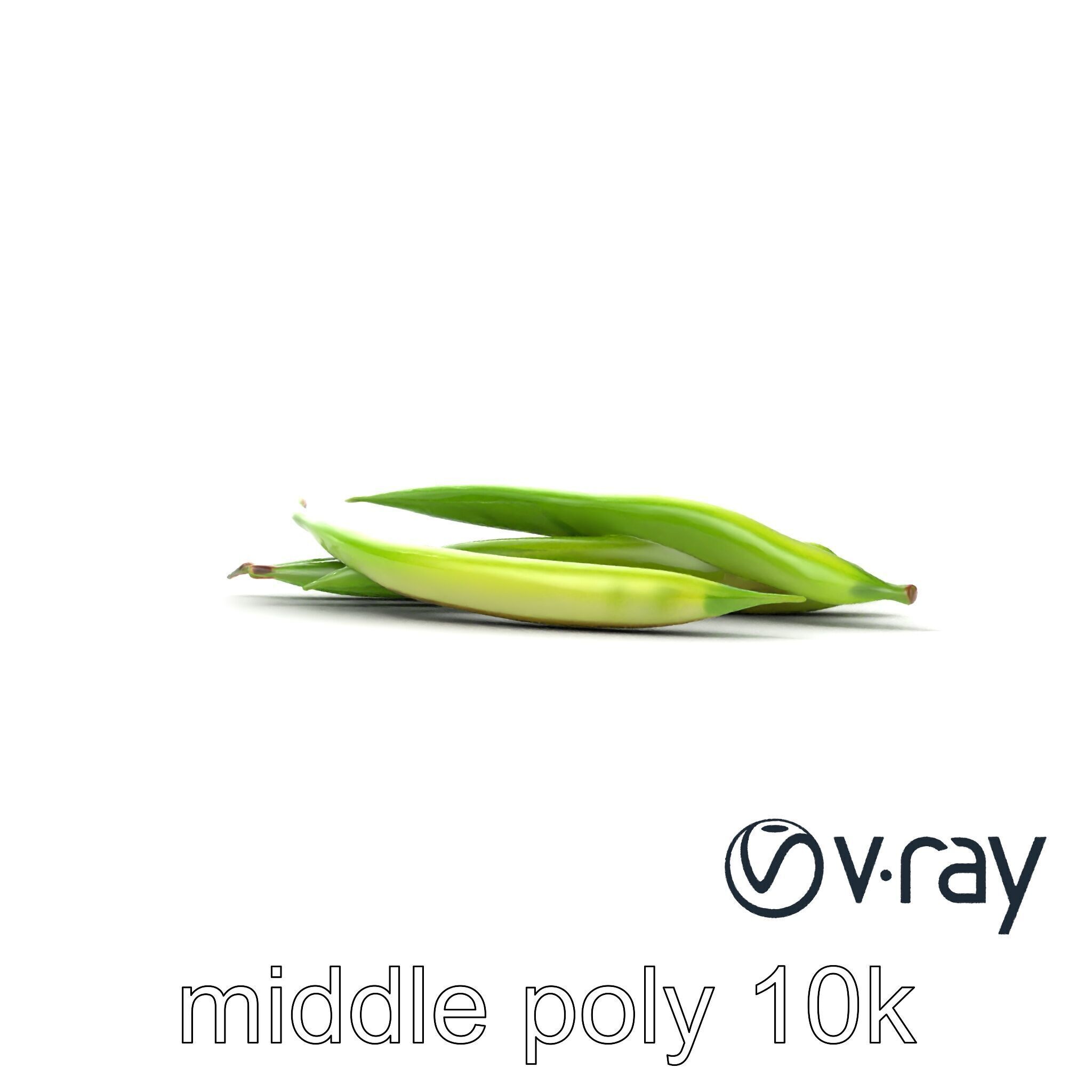 Realistic Green Beans Vegetable 3D model pack Low-poly 3D model_14