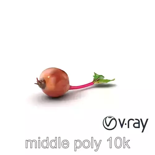 Detailed Beetroot with Rich Purple Hue model pack