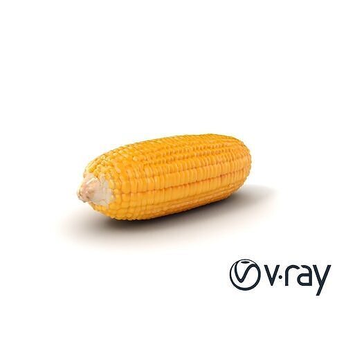 Golden Corn Cob 3D model pack Low-poly 3D model 7