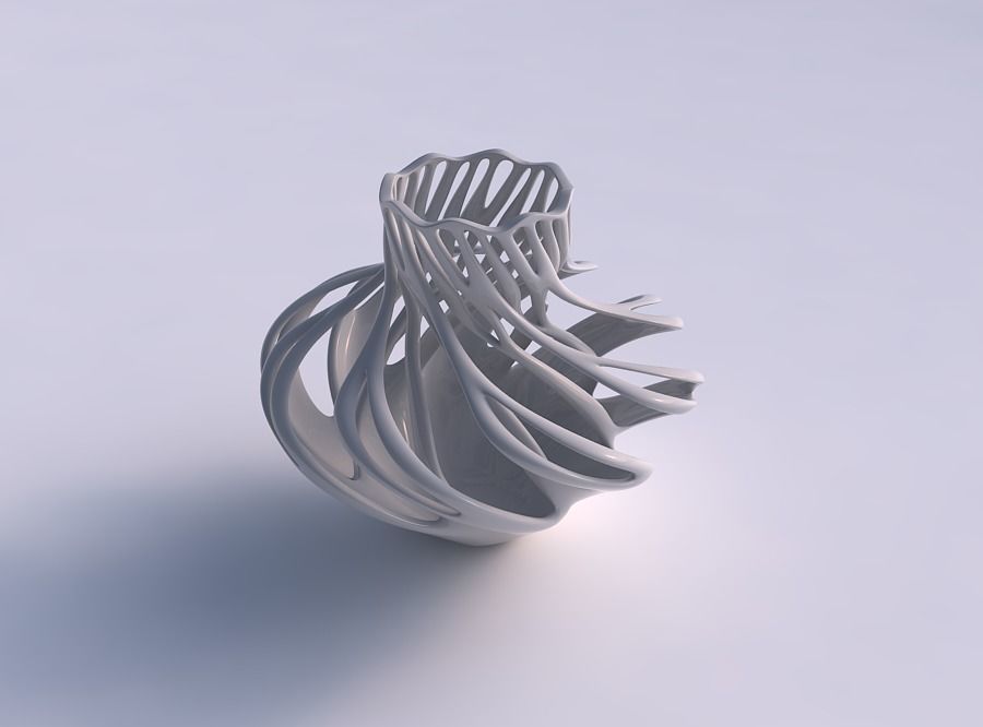 Vase curved with two layered branches twisted and squeezed 3D print model_0