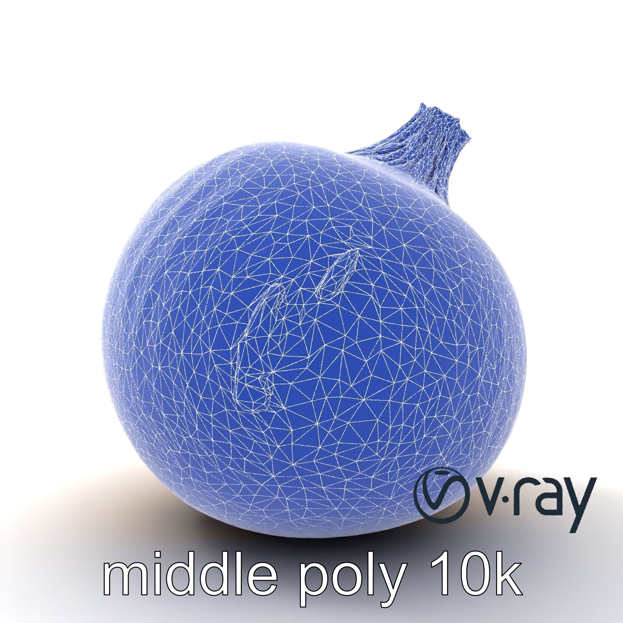 Silky Textured Onion 3D Model Pack Low-poly 3D model_31