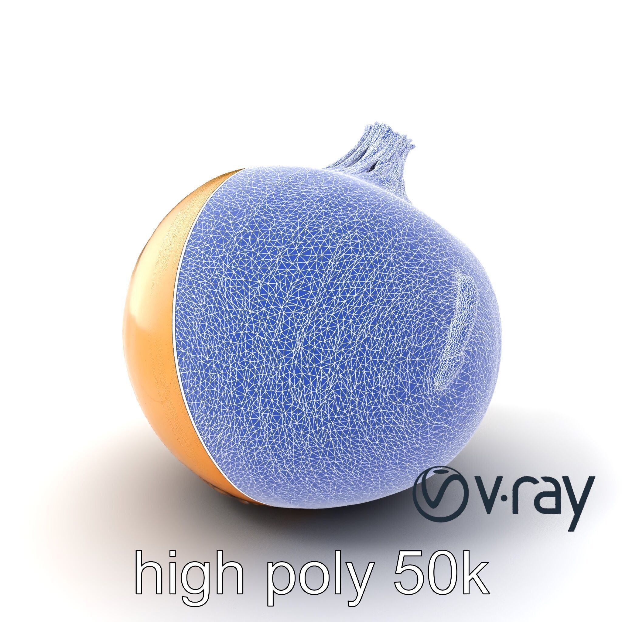 Silky Textured Onion 3D Model Pack Low-poly 3D model_9
