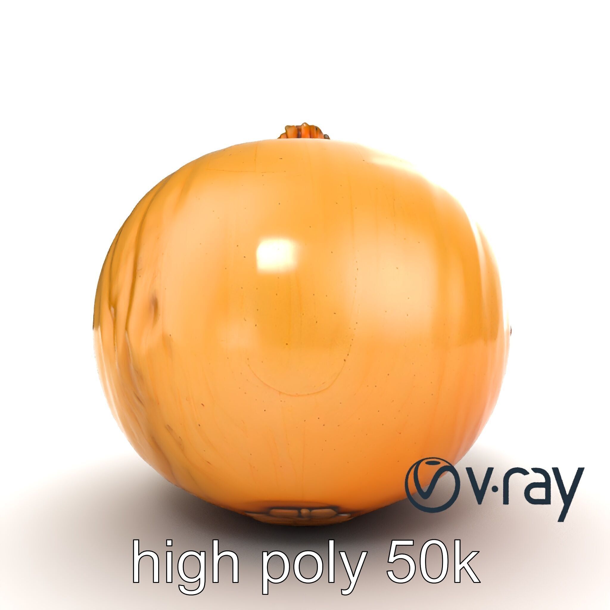 Silky Textured Onion 3D Model Pack Low-poly 3D model_18