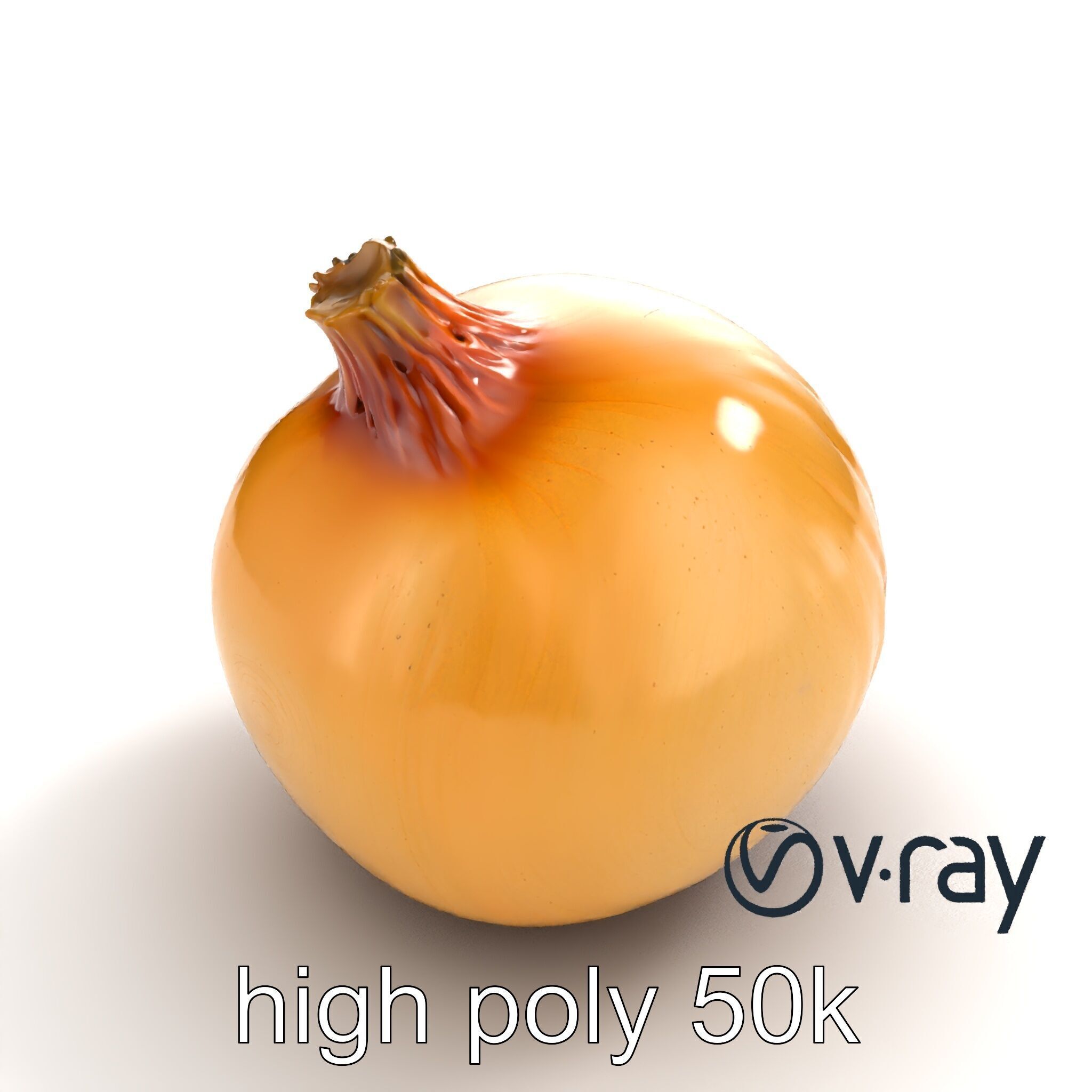 Silky Textured Onion 3D Model Pack Low-poly 3D model_27