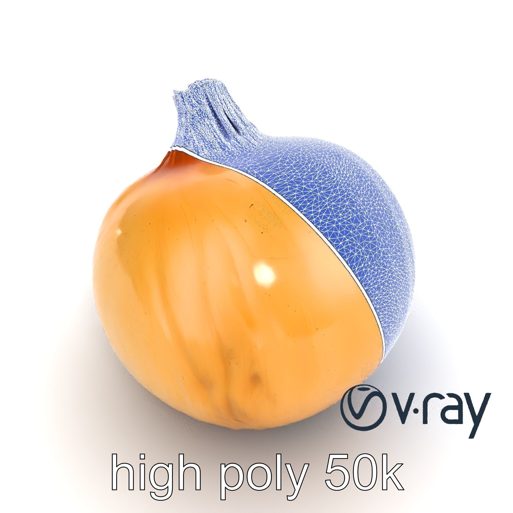 Silky Textured Onion 3D Model Pack Low-poly 3D model_28