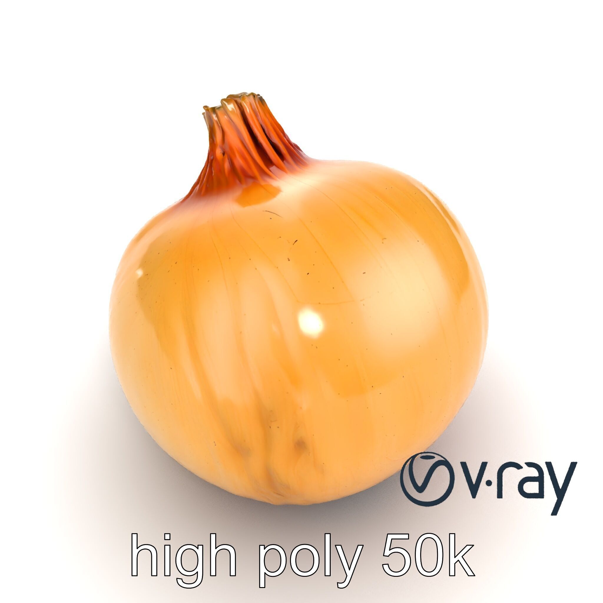 Silky Textured Onion 3D Model Pack Low-poly 3D model_11